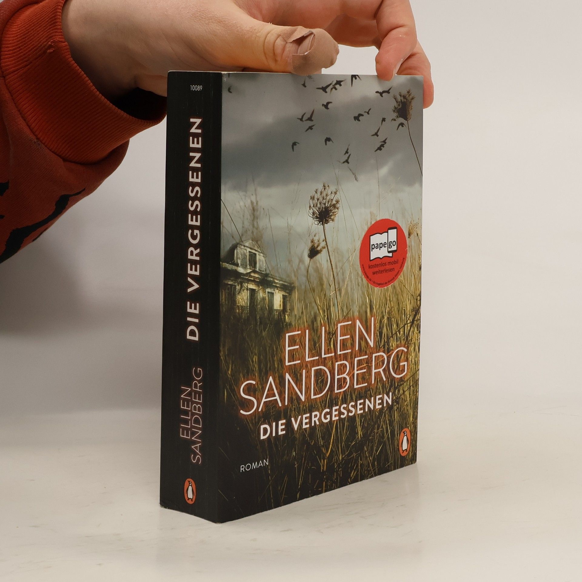 Ellen Sandberg Die Vergessenen