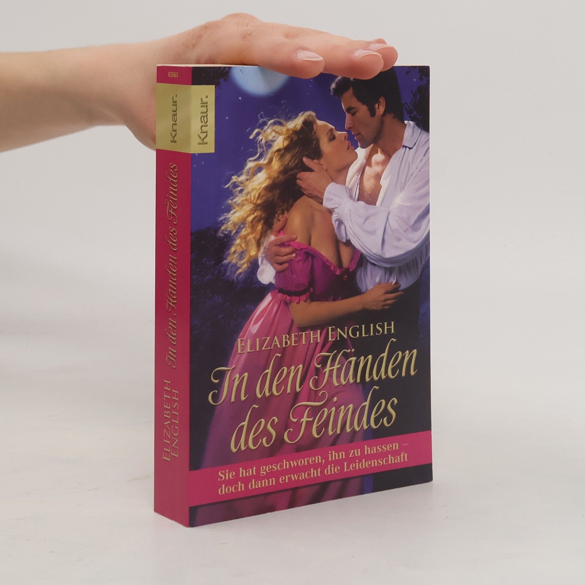 In den Händen des Feindes. Borderlands Band 1