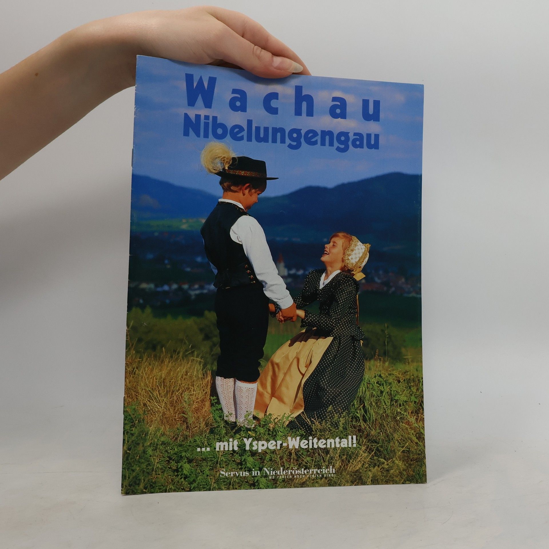 Collectif d'auteurs Wachau Nibelungengau