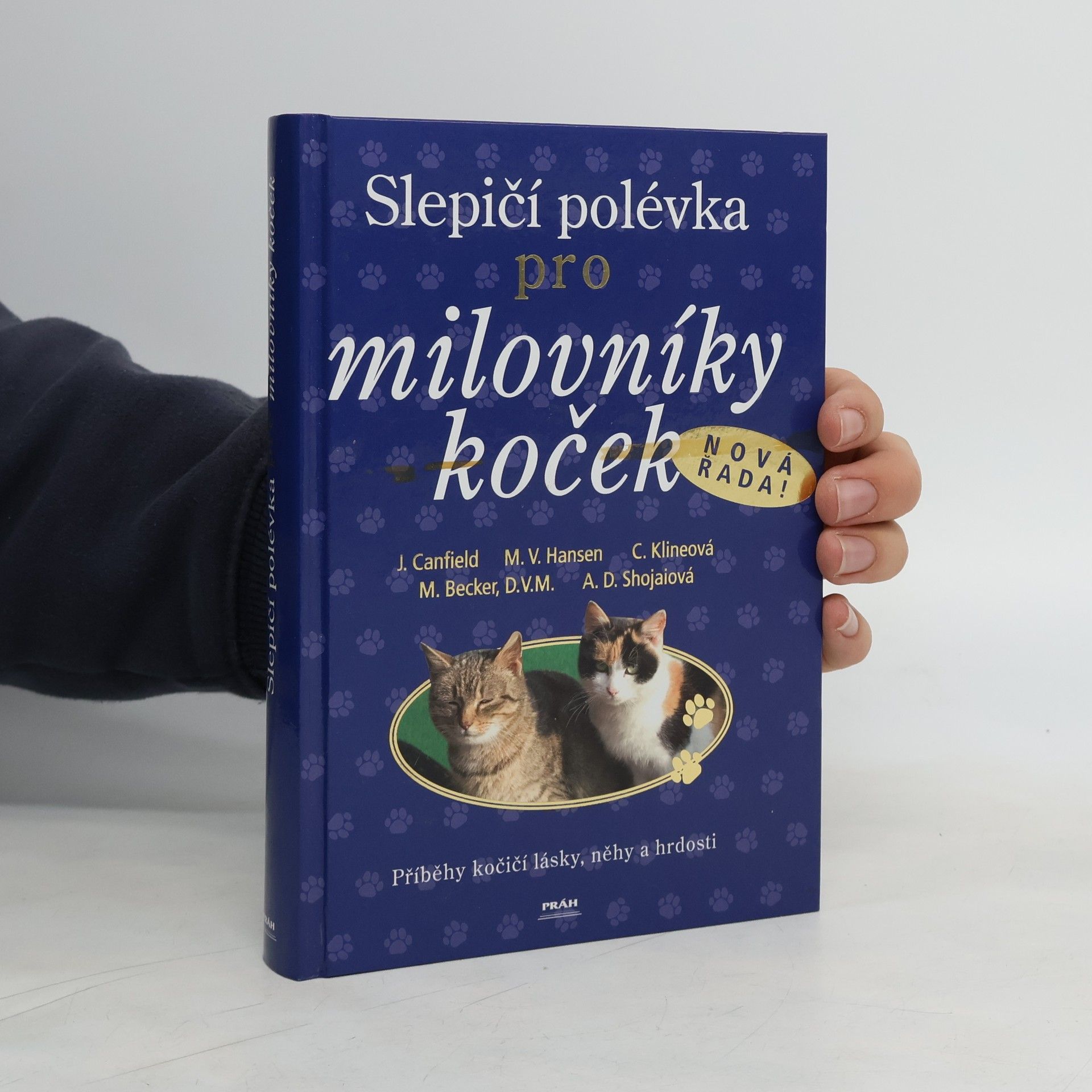Jack Canfield Slepičí polévka pro milovníky koček: Příběhy o kočičí věrnosti, radosti i odvaze