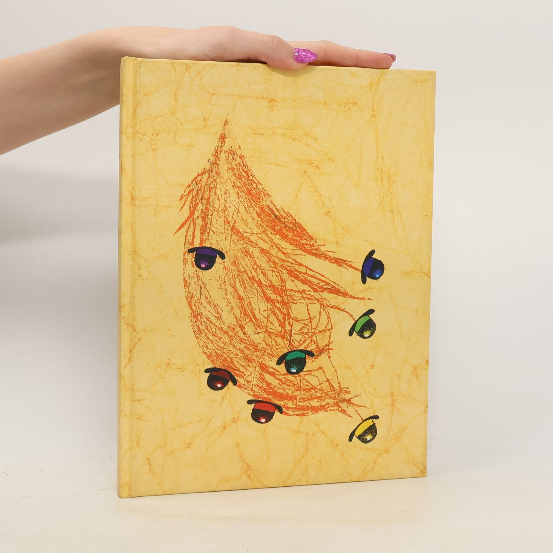 Irena Gálová Zrcadélko ježibabky Čambuchy