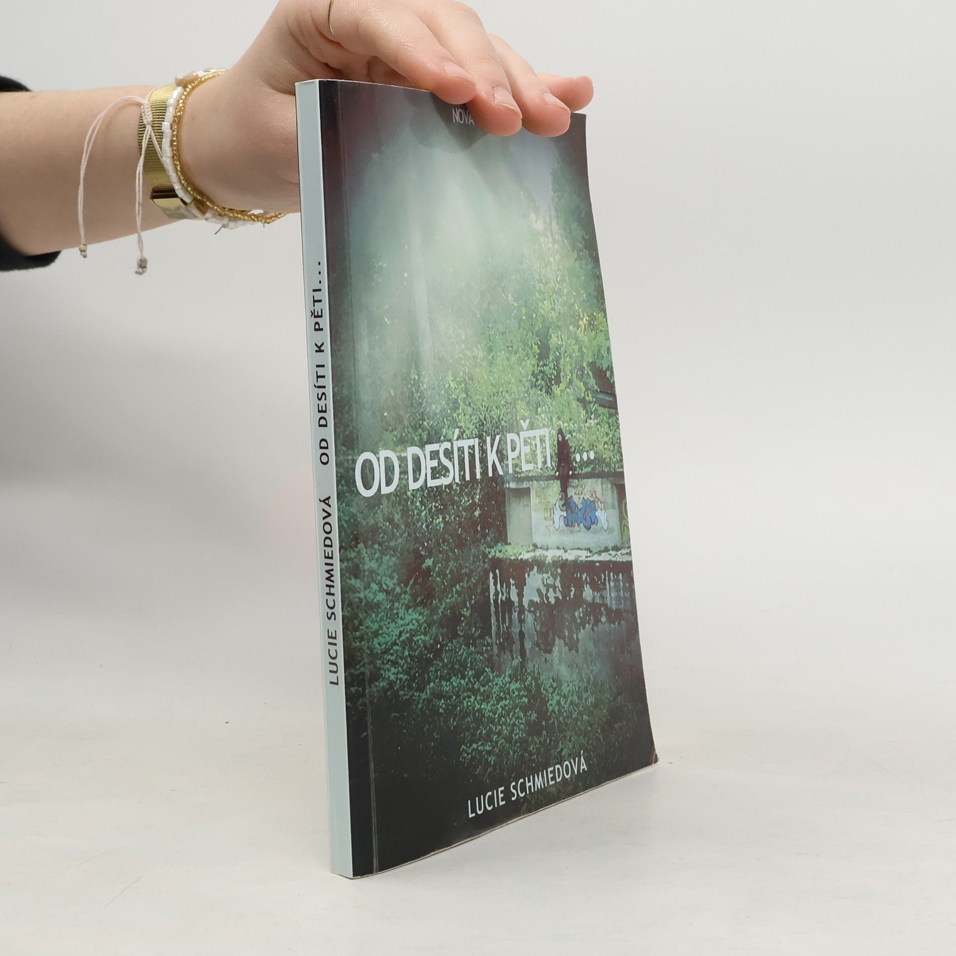 Lucie Schmiedová Od desíti k pěti