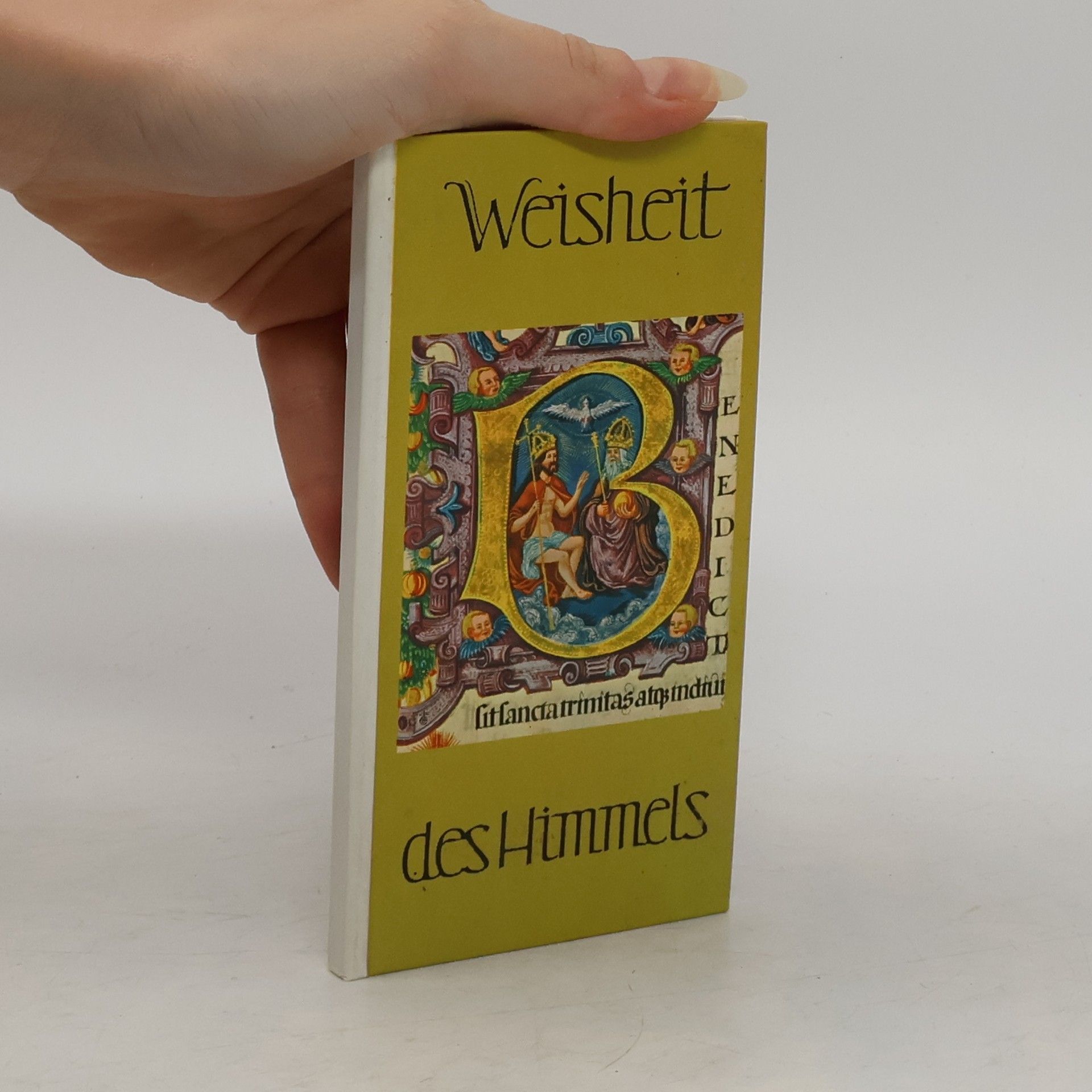 Kolektív autorov Weisheit des Himmels