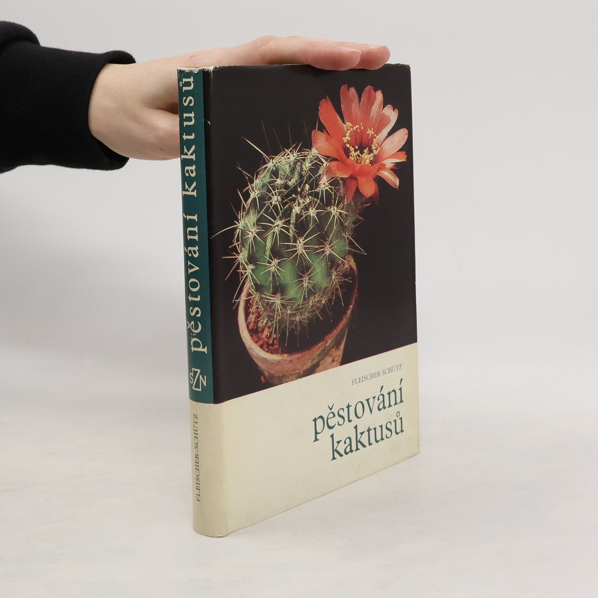 Pěstování kaktusů