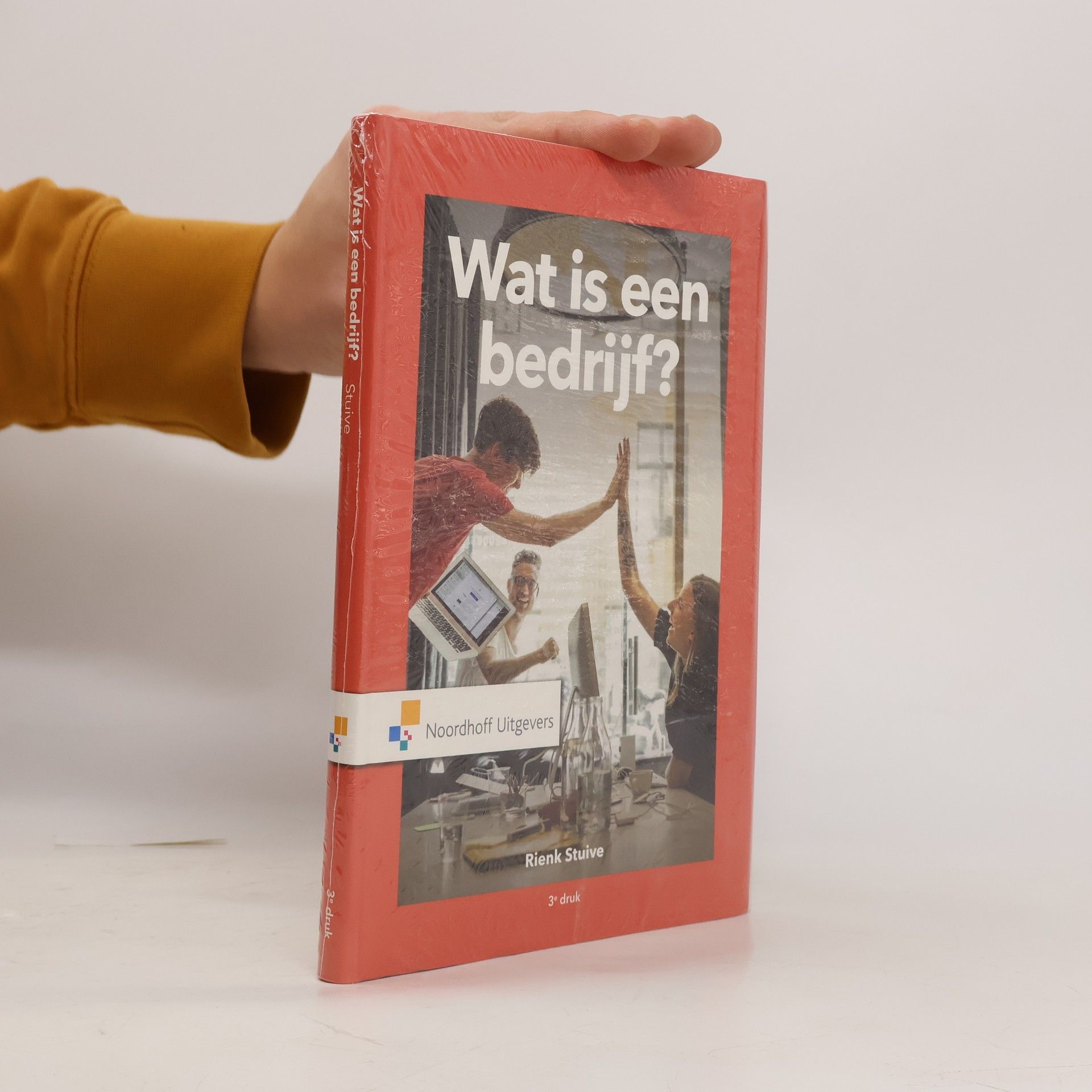 Rienk Stuive Wat is een bedrijf? - 3e druk