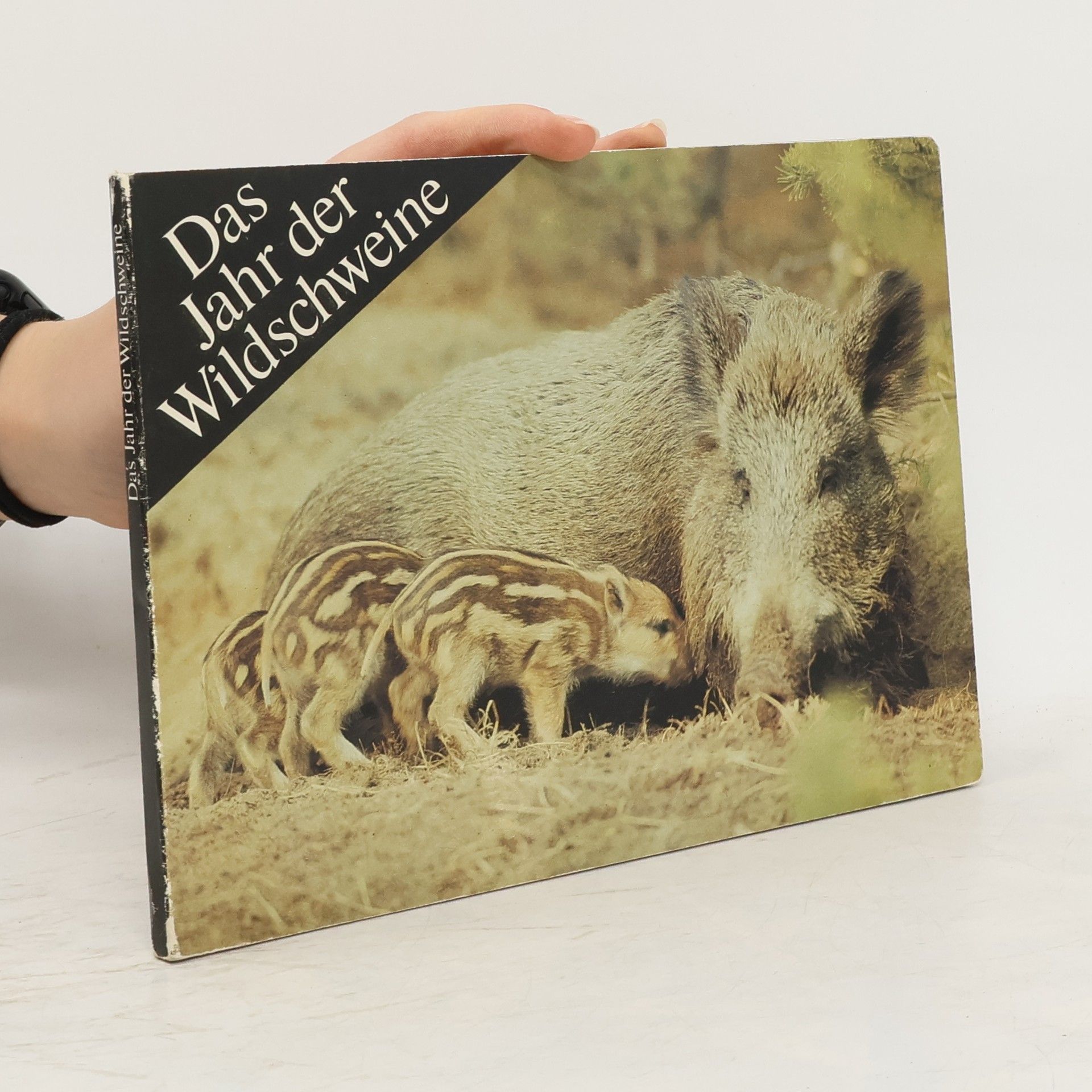 Das Jahr der Wildschweine