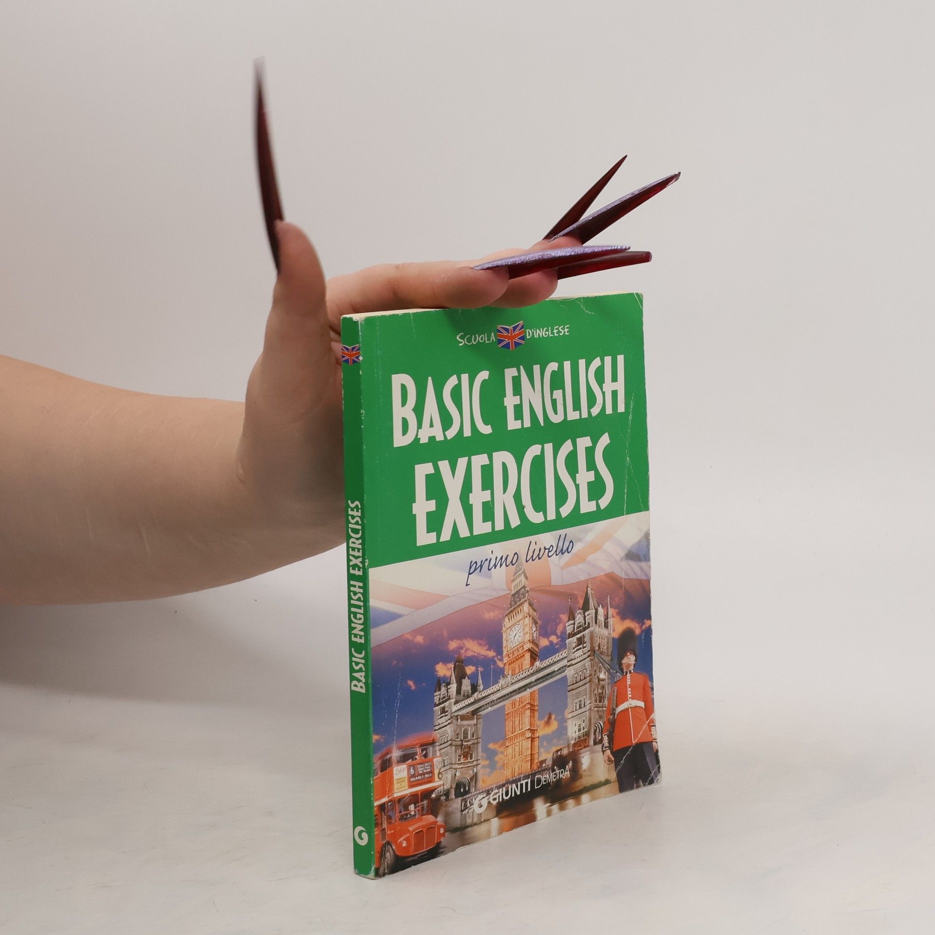 Gigliola Canepa Basic English Exercises. Primo Livello