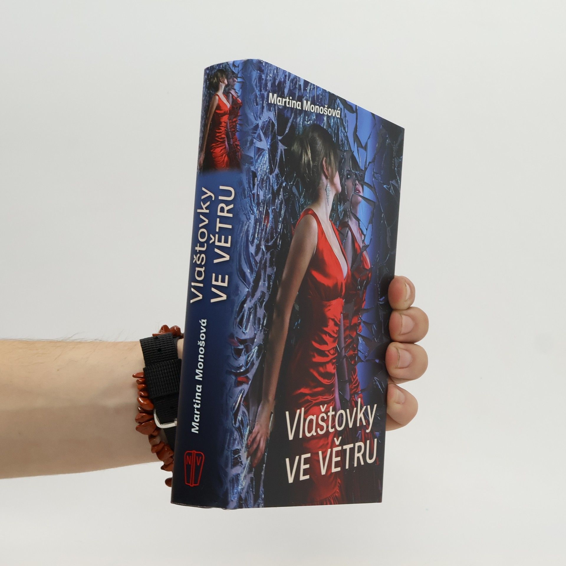 Martina Monšová Vlaštovky ve větru