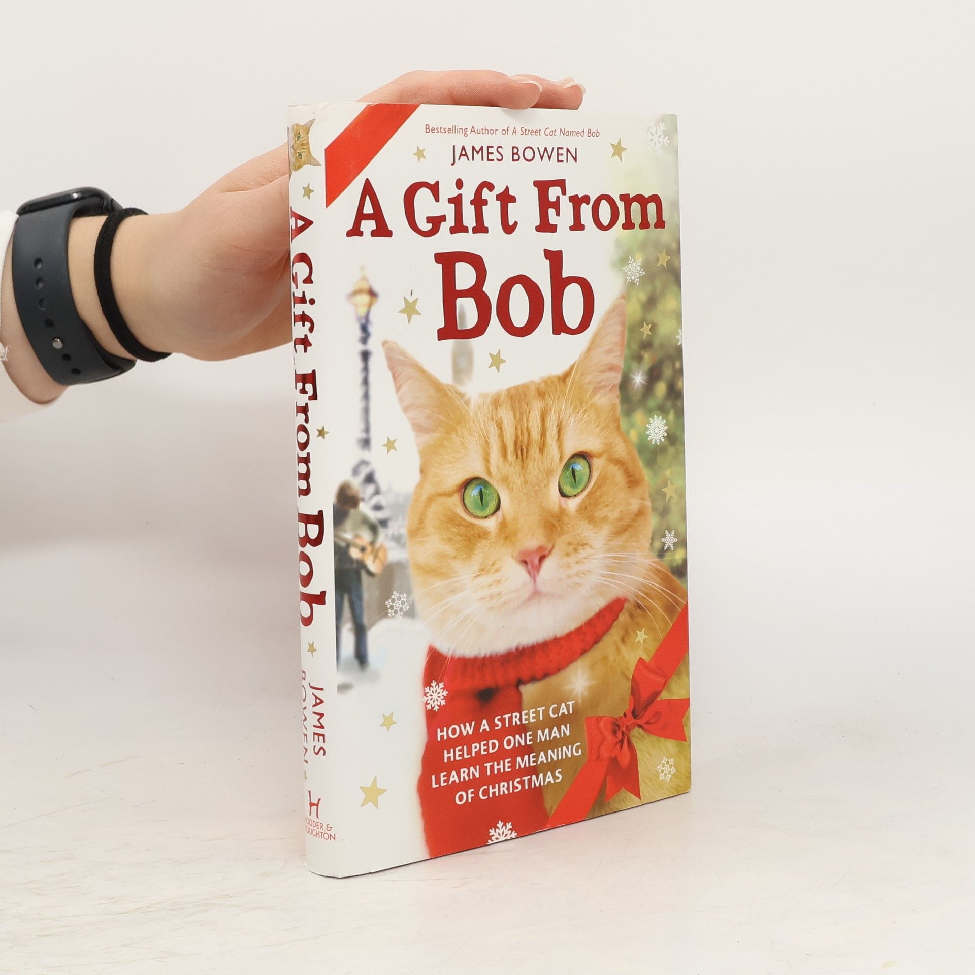 James Bowen A Gift from Bob