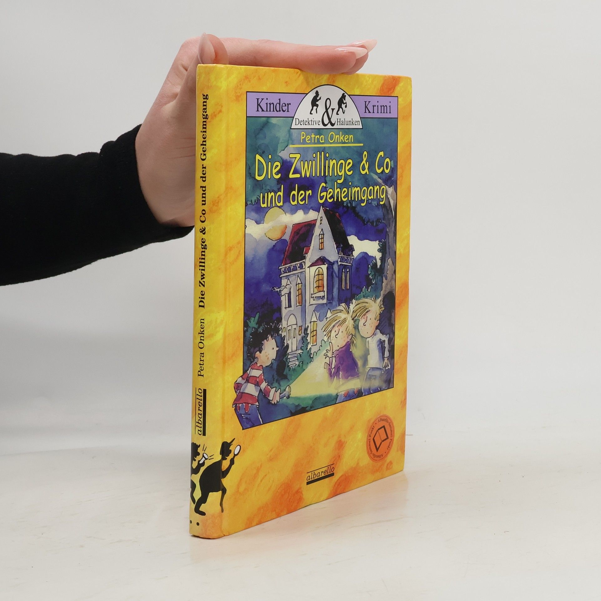 Petra Onken Die Zwillinge & Co und der Geheimgang