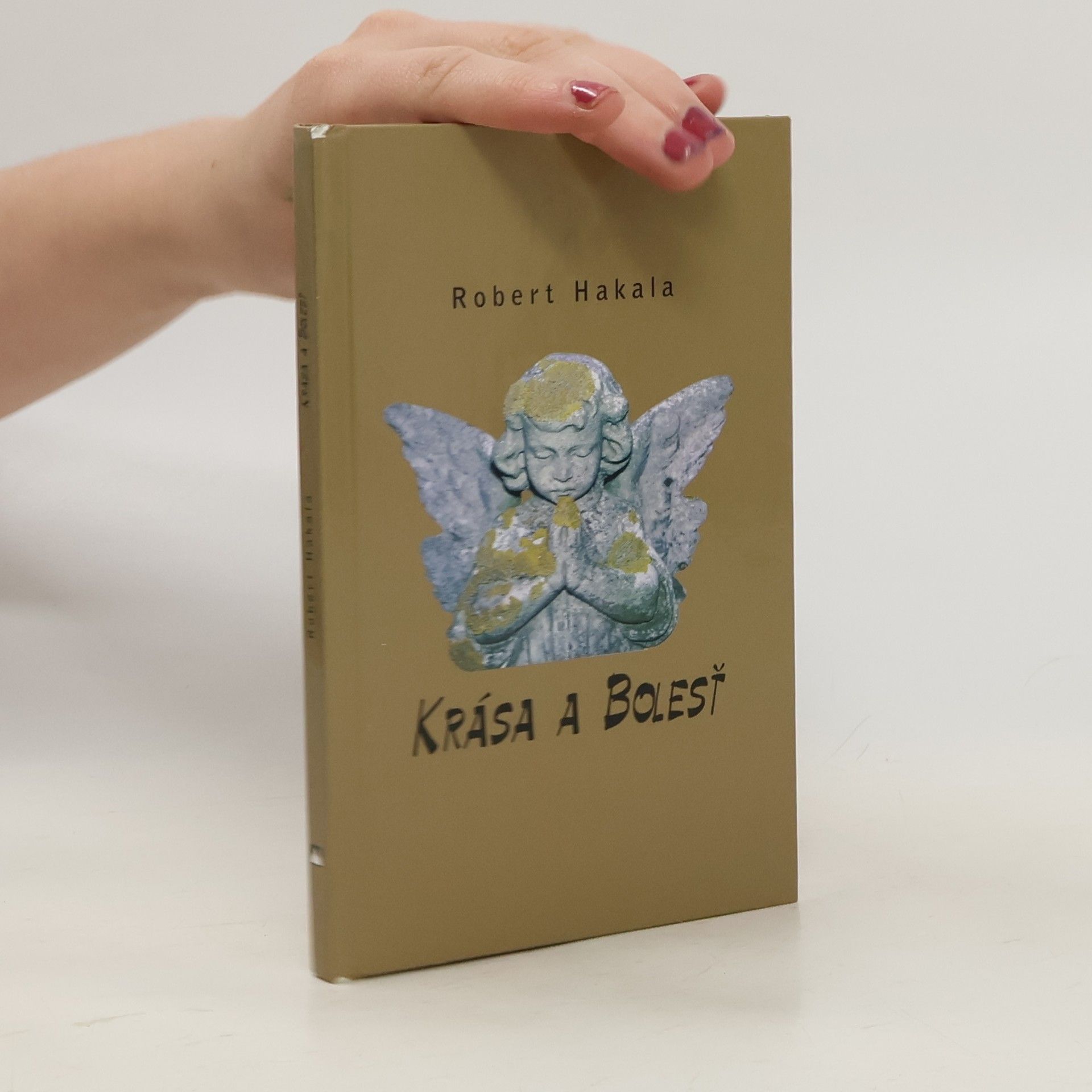Robert Hakala Krása a bolesť