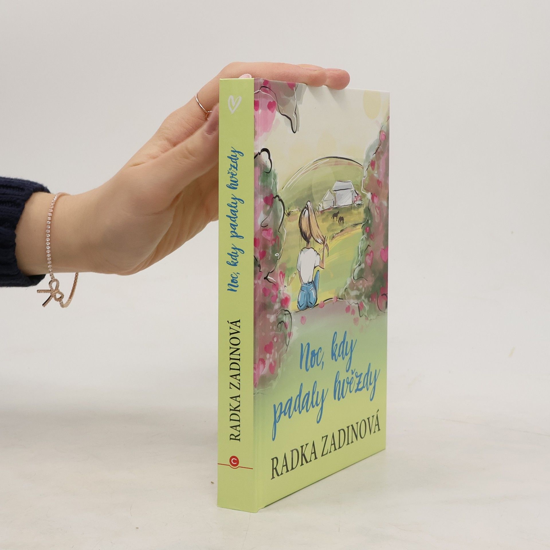 Radka Zadinová Noc, kdy padaly hvězdy