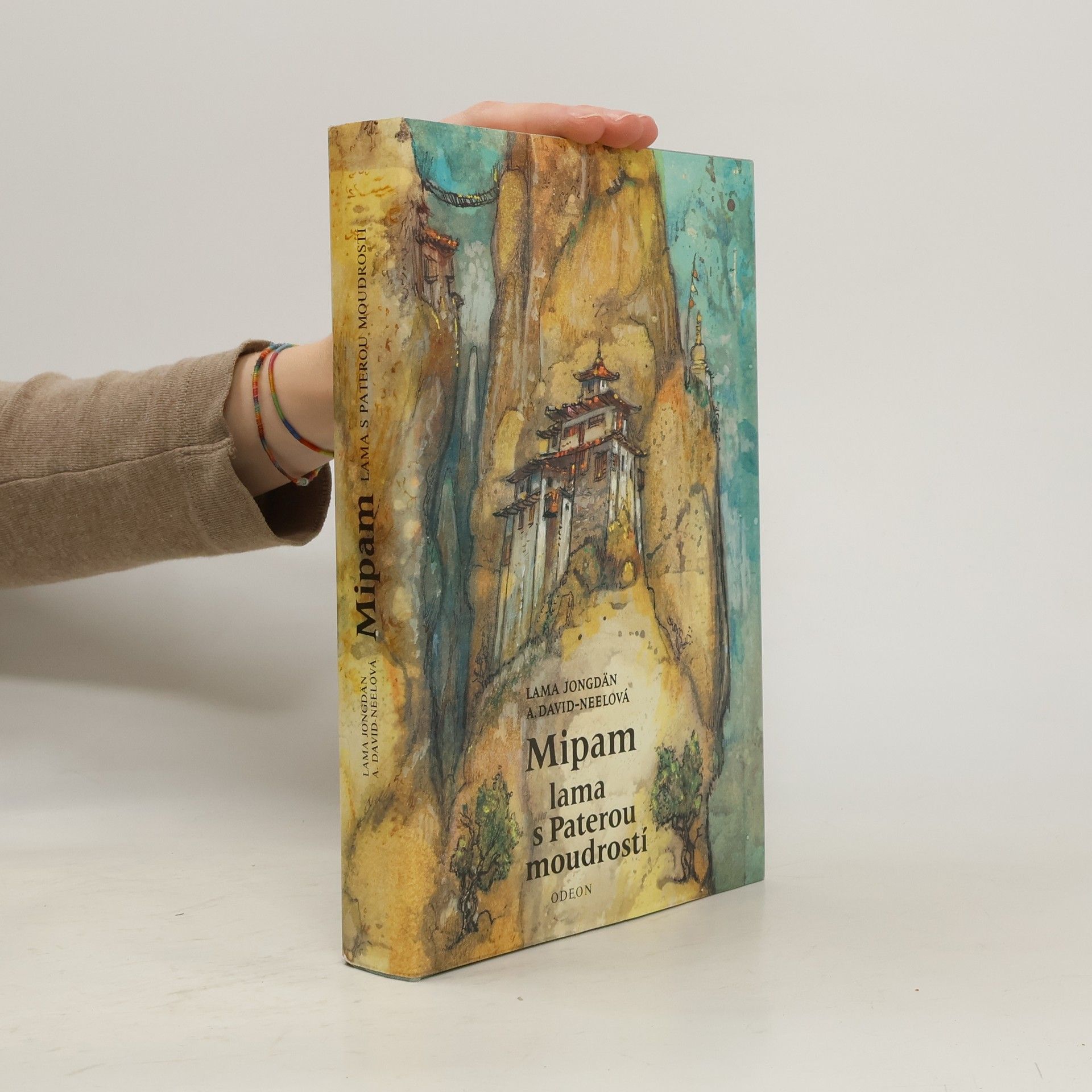 Mipam lama s Paterou moudrostí