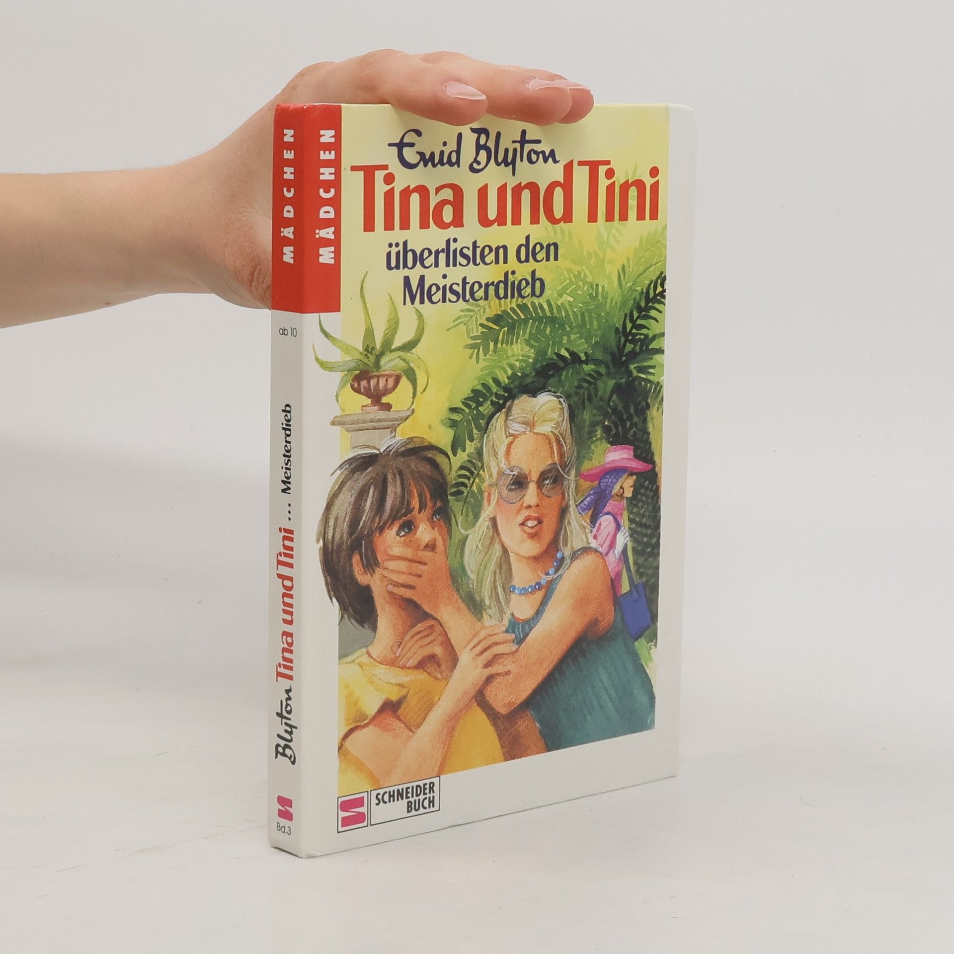 Enid Blyton Tina und Tini überlisten den Meisterdieb