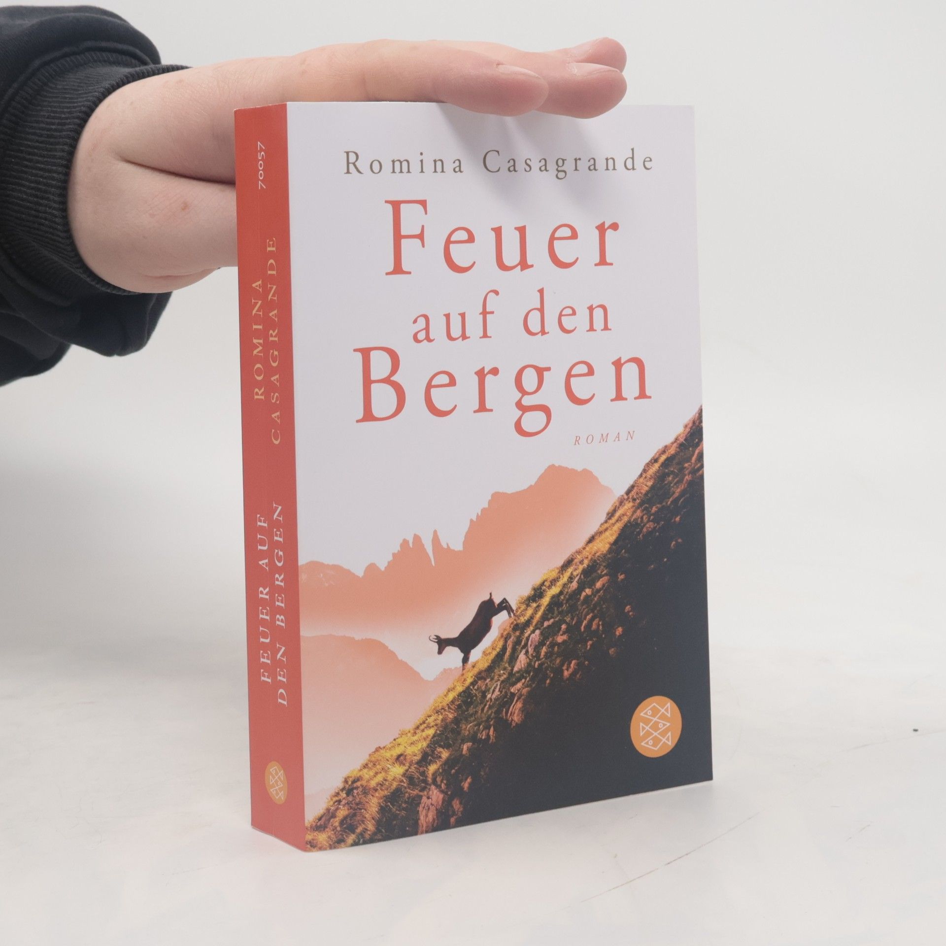 Feuer auf den Bergen