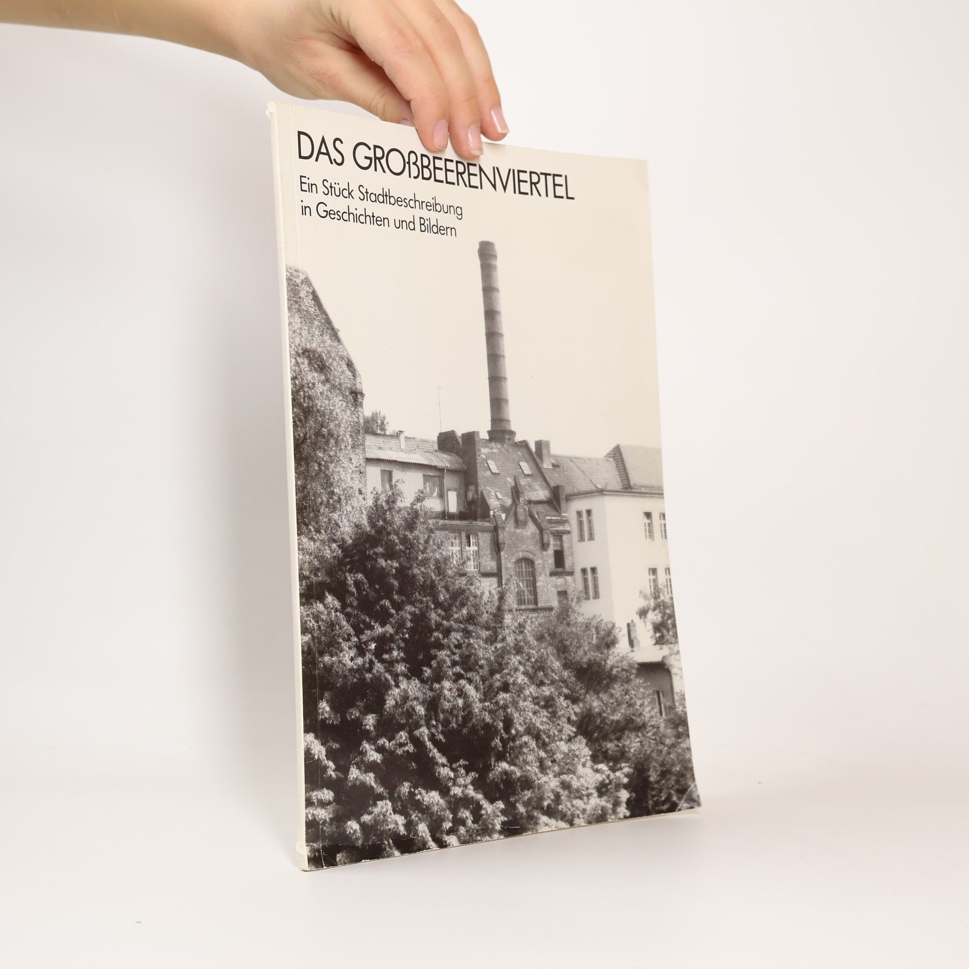 AA.VV. Das Grossbeerenviertel