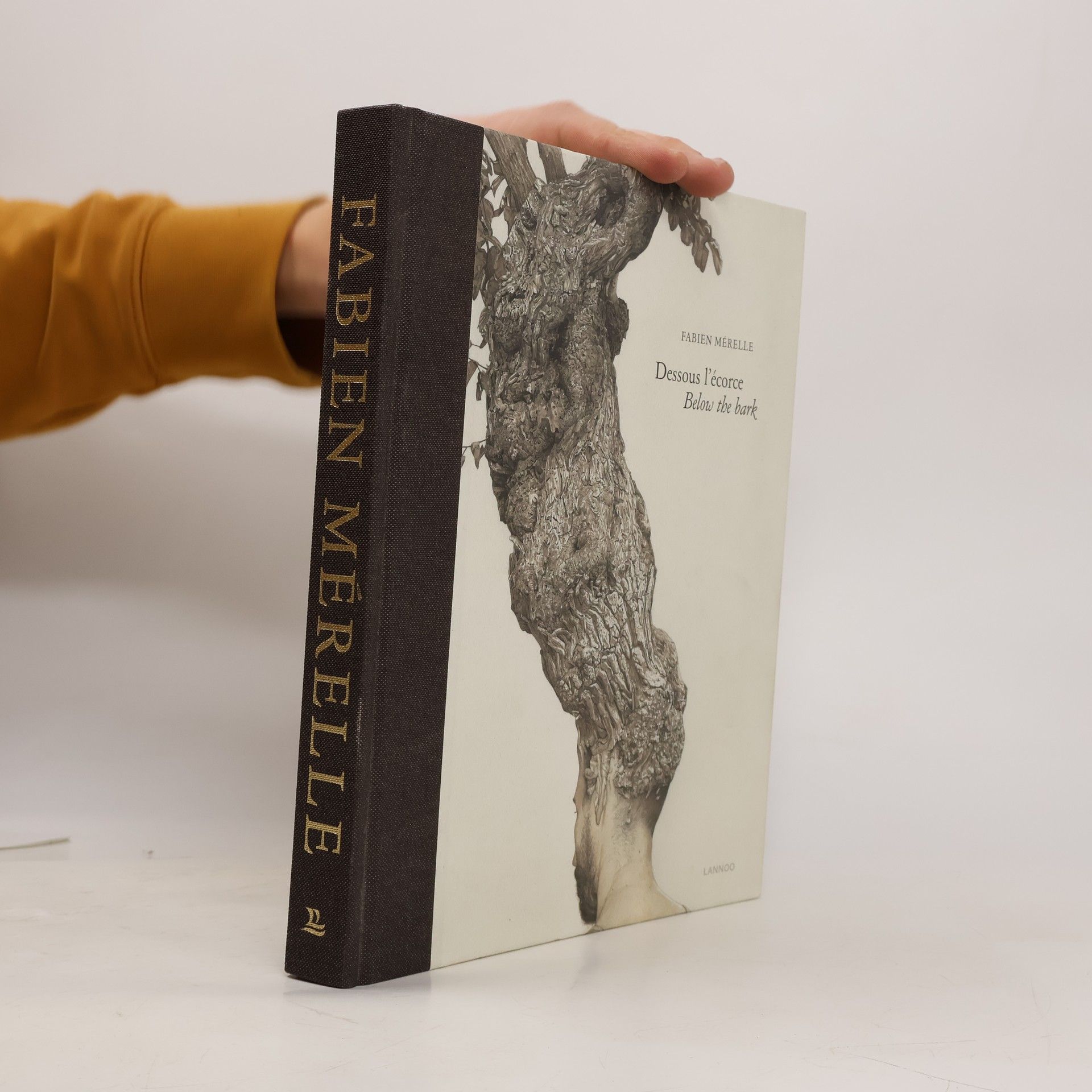 Fabien Mérelle Fabien Mérelle