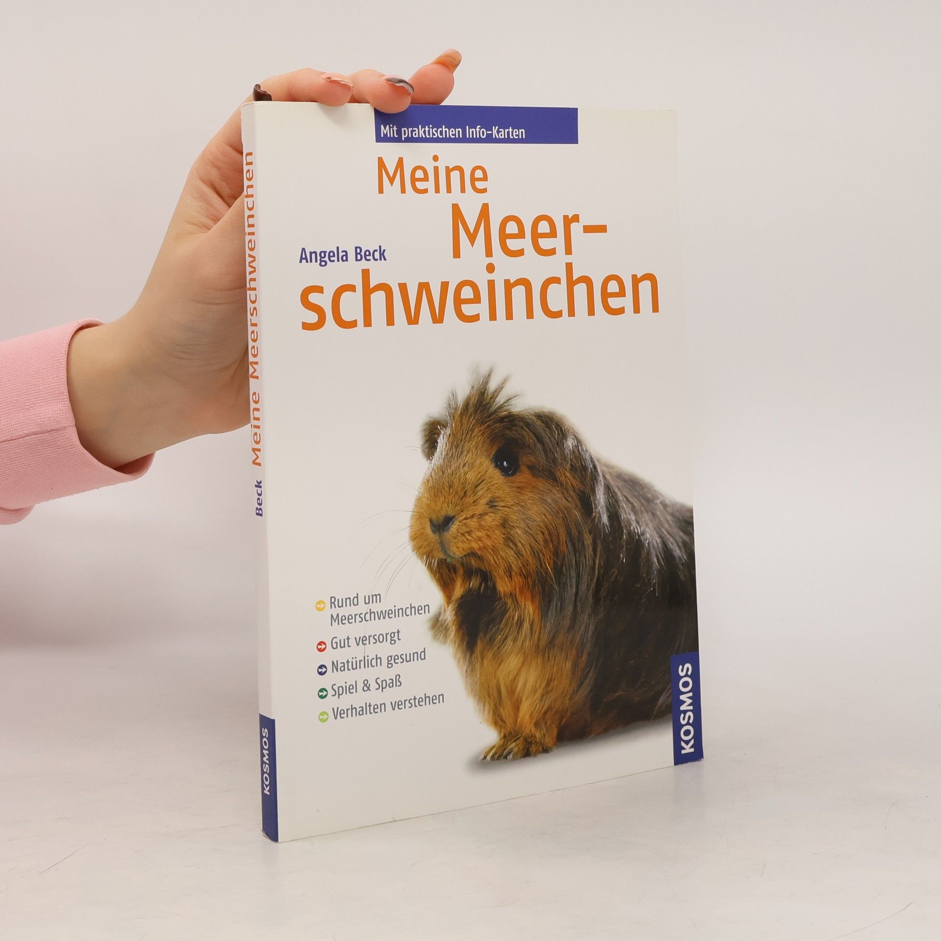 Meine Meerschweinchen