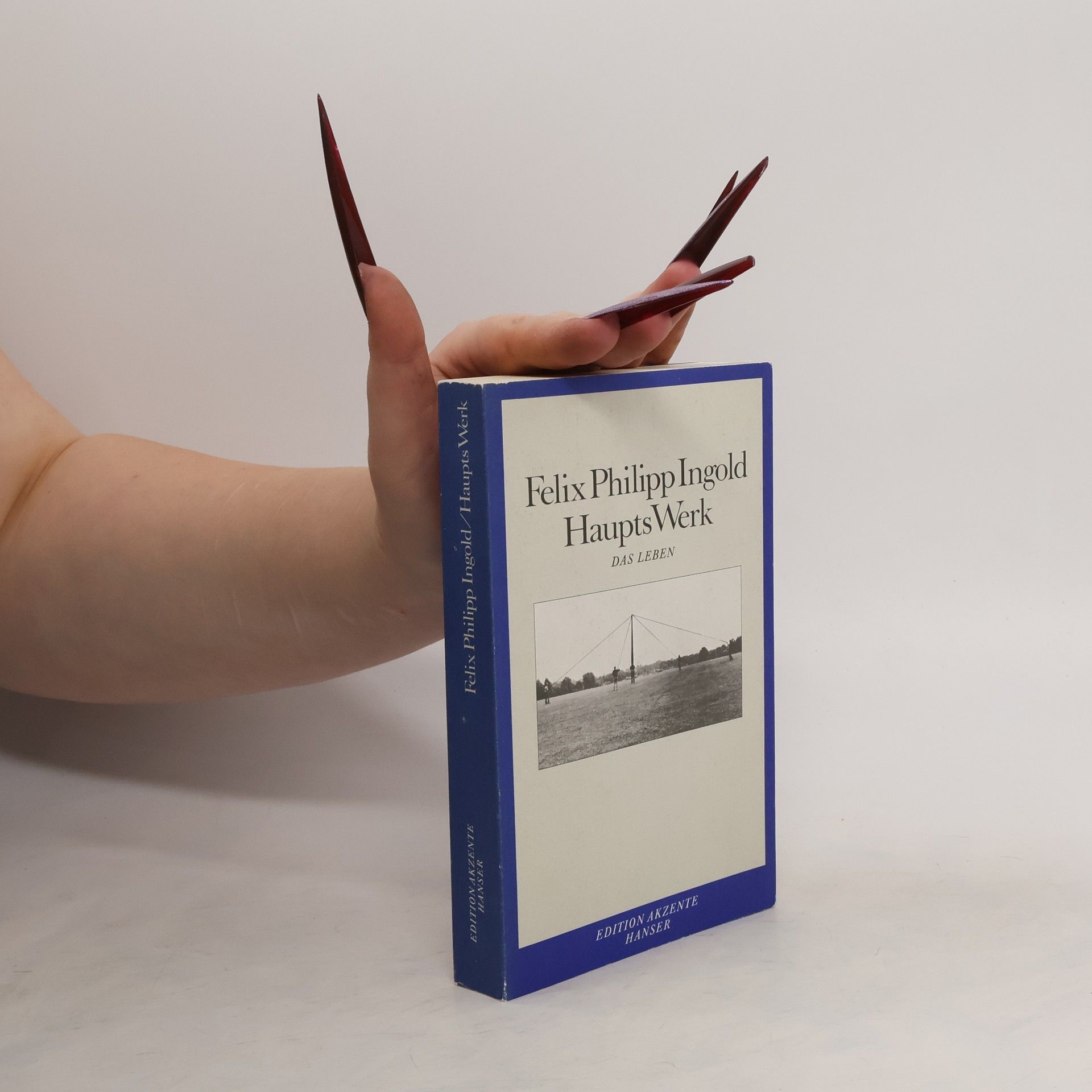 Felix Philipp Ingold Edition Akzente: Haupts Werk