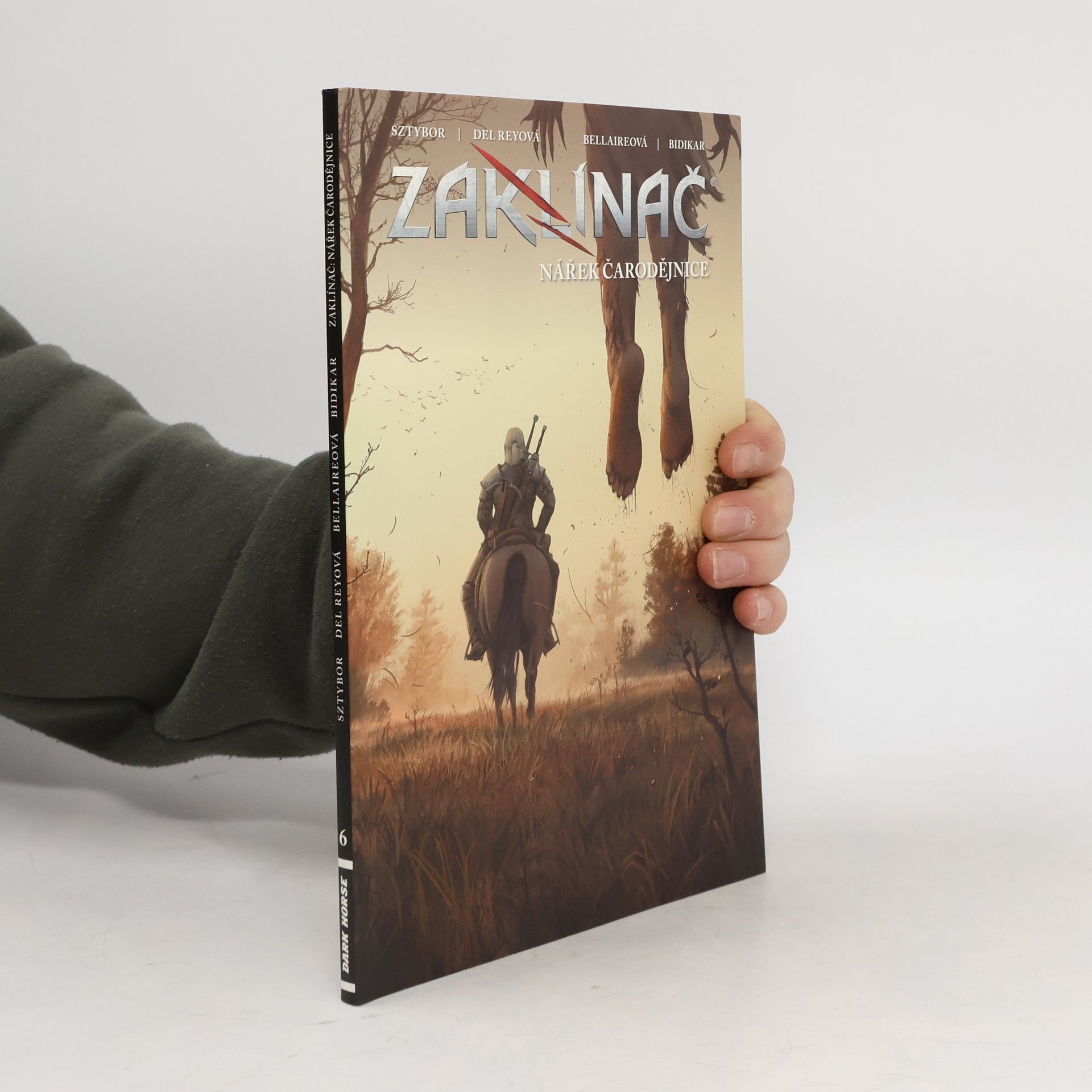 Zaklínač: Nářek čarodějnice