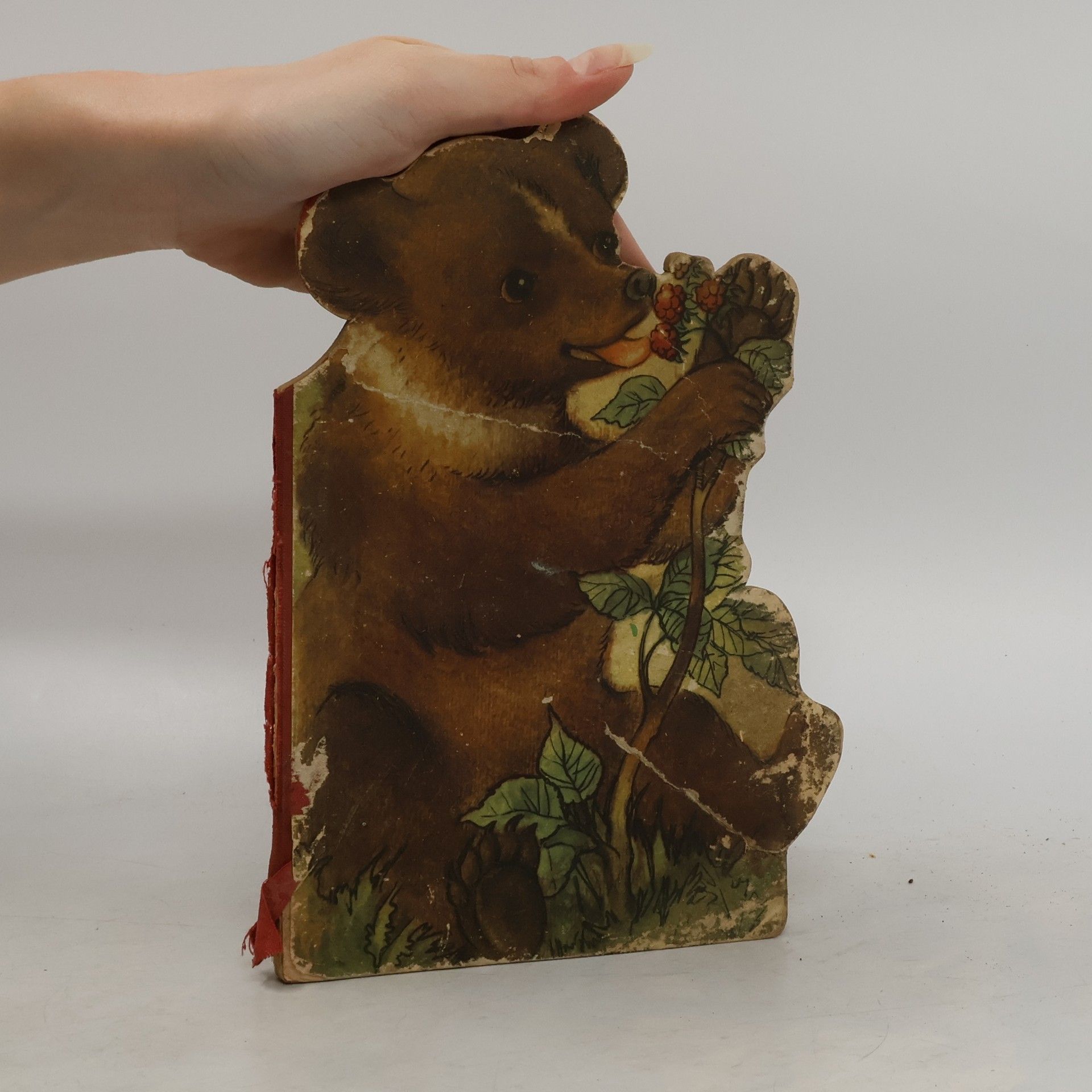 Autores varios Medvídek Brumla