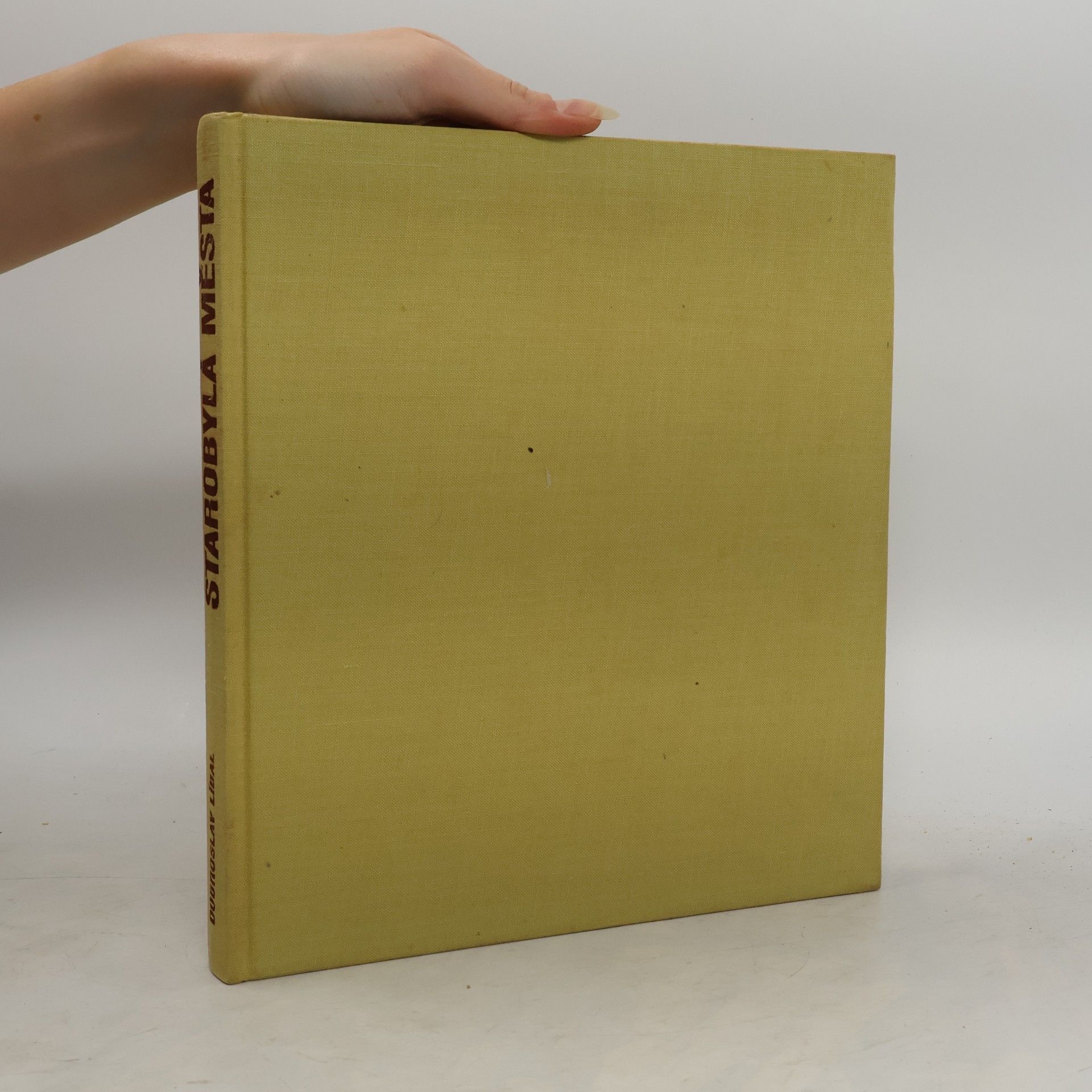 Dobroslav Líbal Starobylá města v Československu