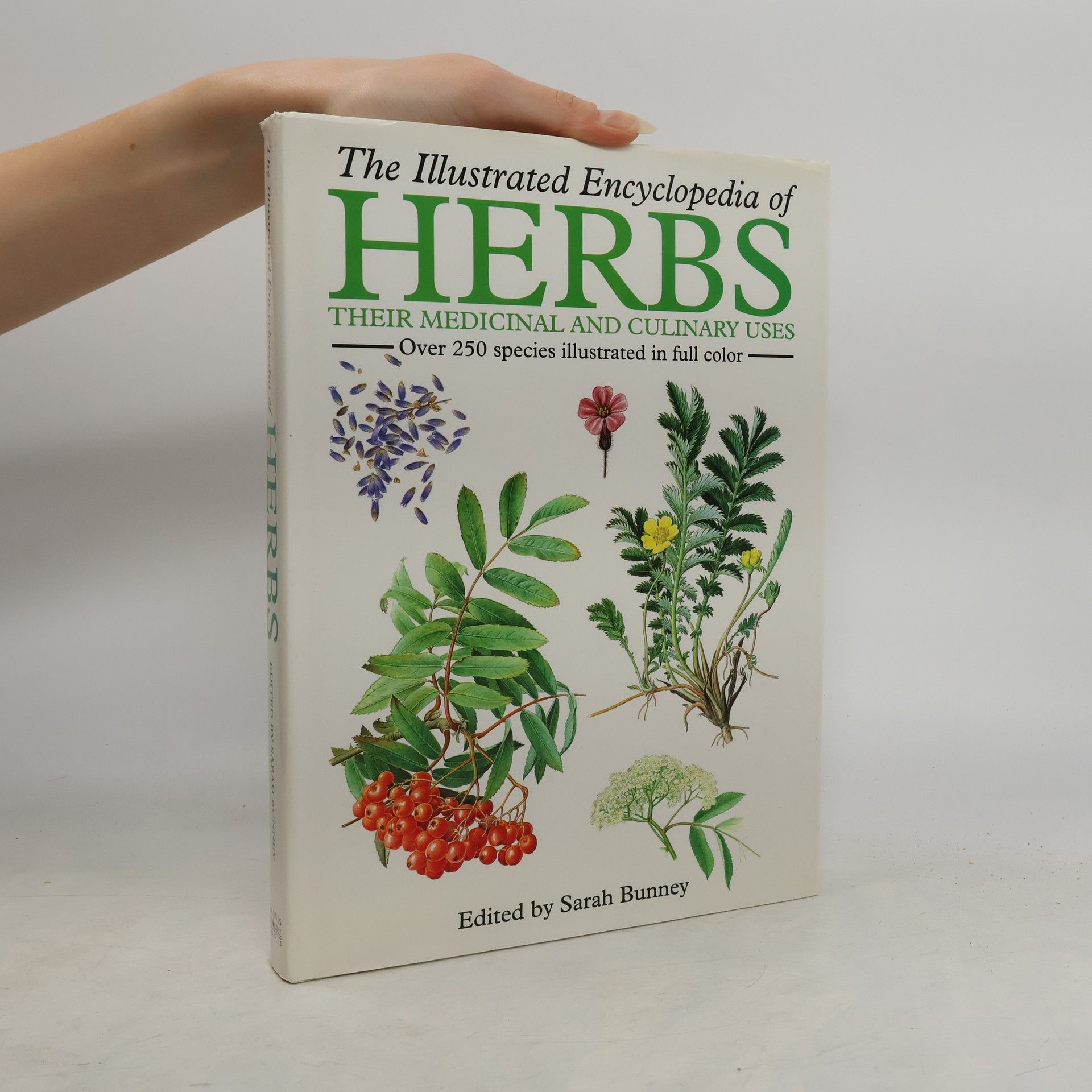 Collectif d'auteurs The Illustrated Encyclopedia of Herbs