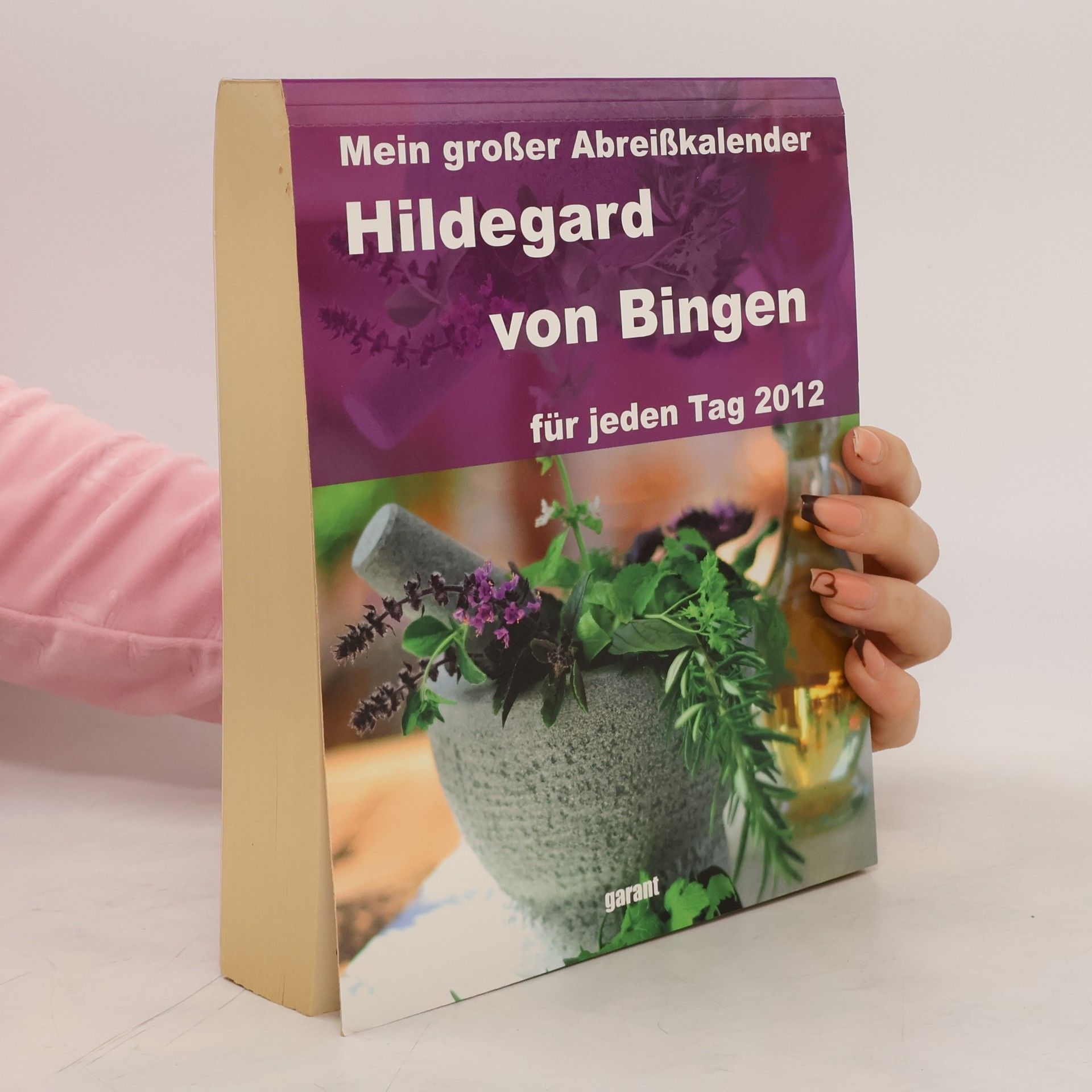 Autorenkollektiv Mein großer Abreißkalender Hildegard von Bingen für jeden Tag 2012