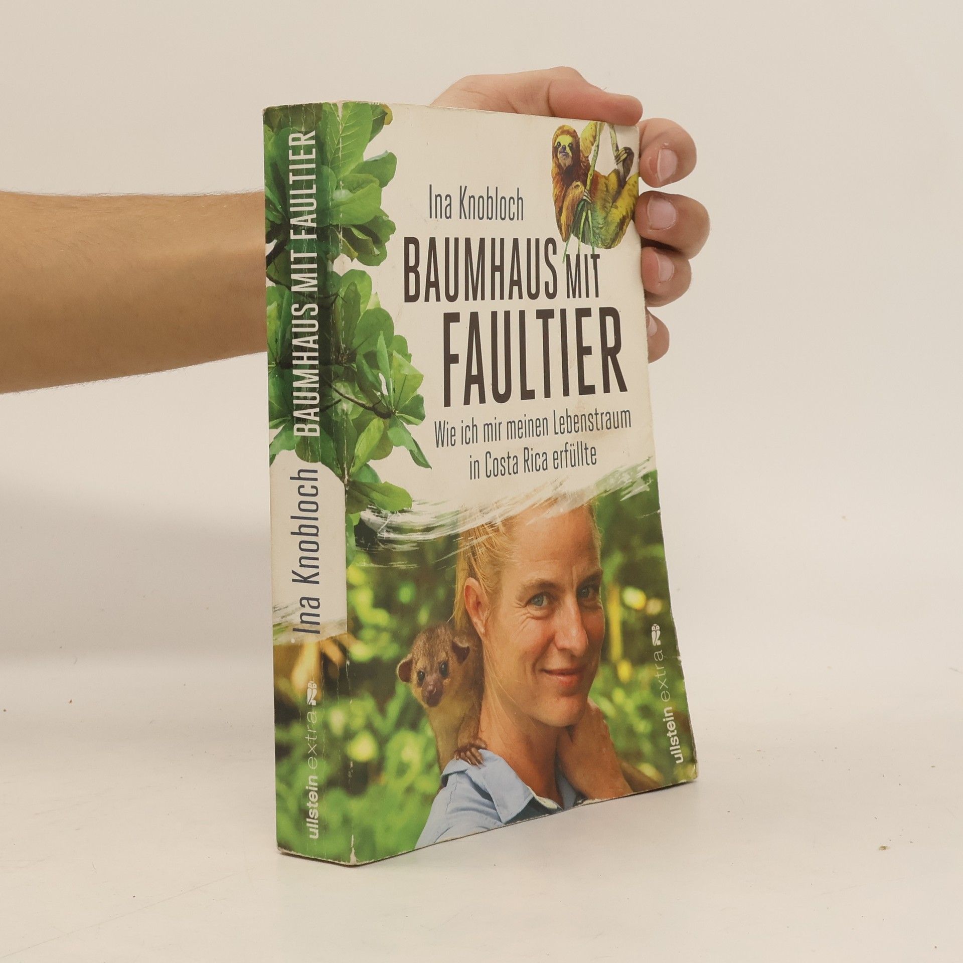 Baumhaus mit Faultier