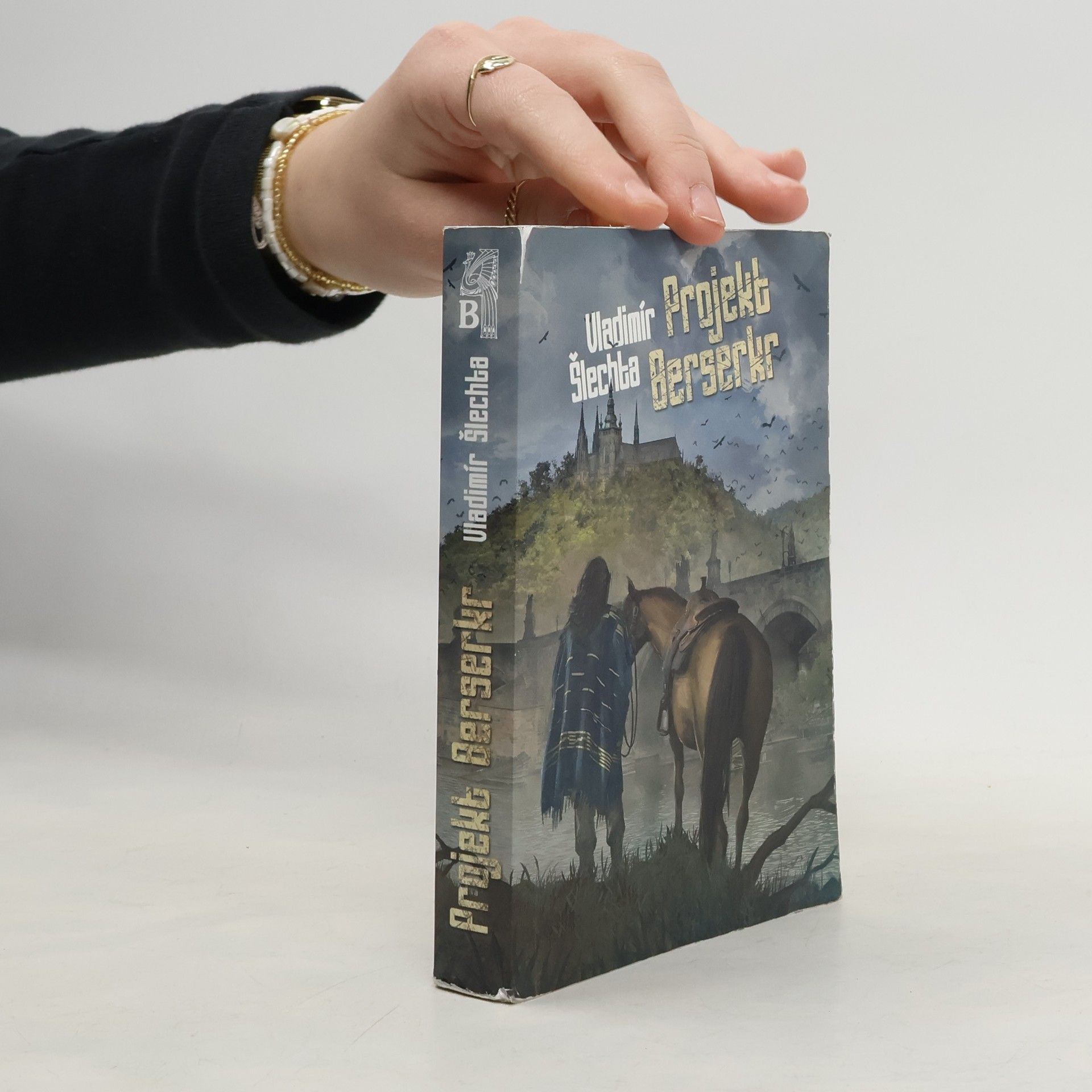 Vladimír Šlechta Projekt Berserkr