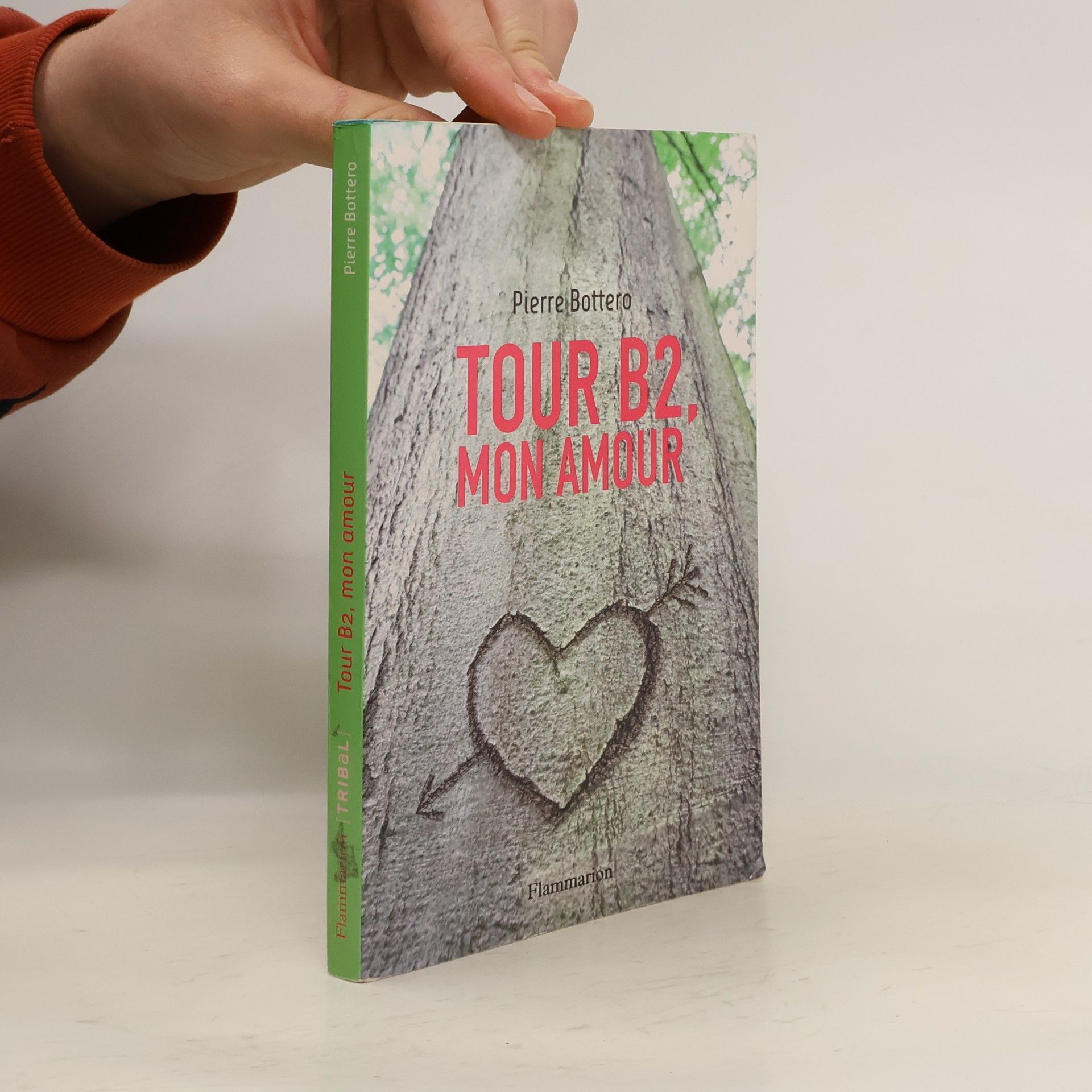 Pierre Bottero Tribal: Tour B2, mon amour