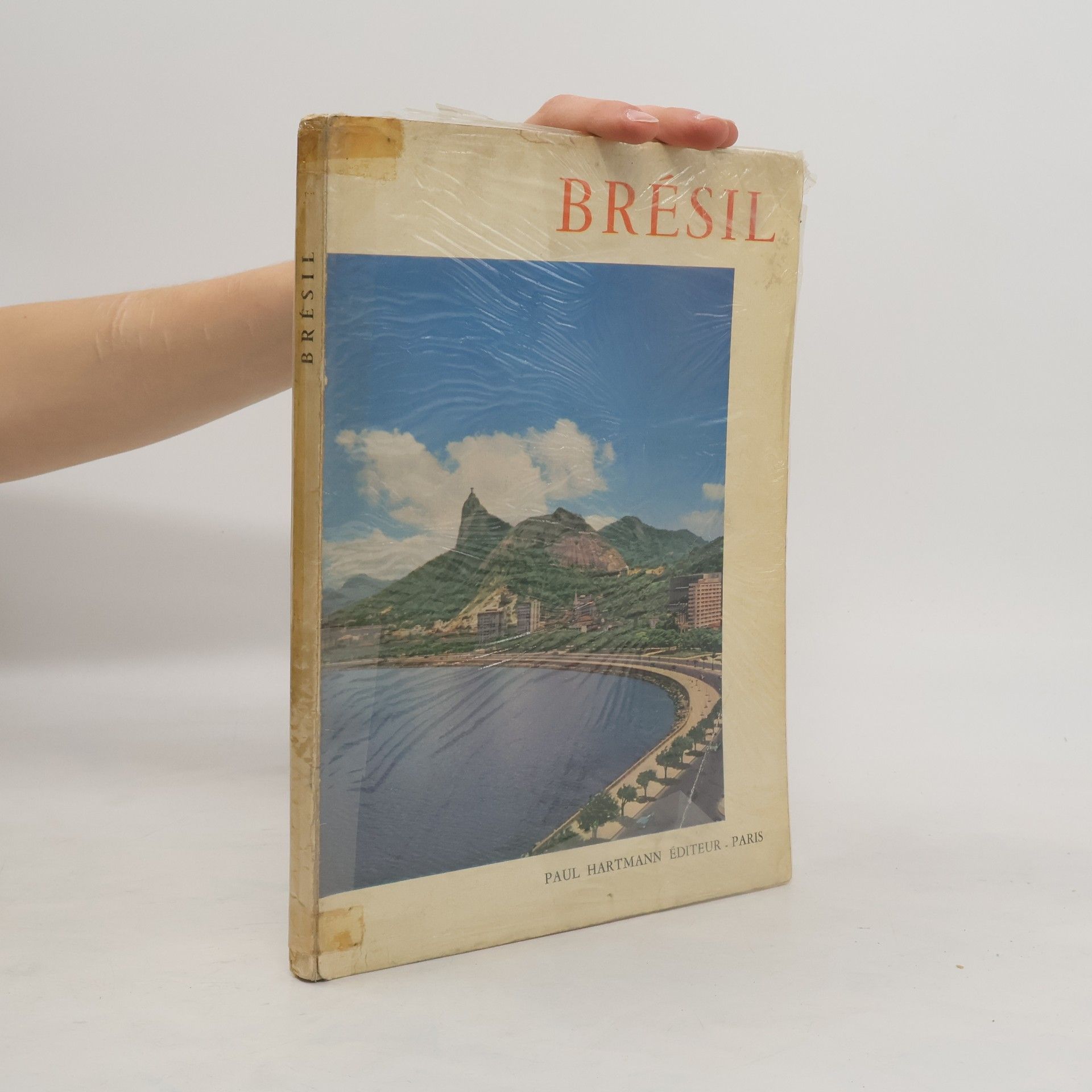 Autores varios Brésil