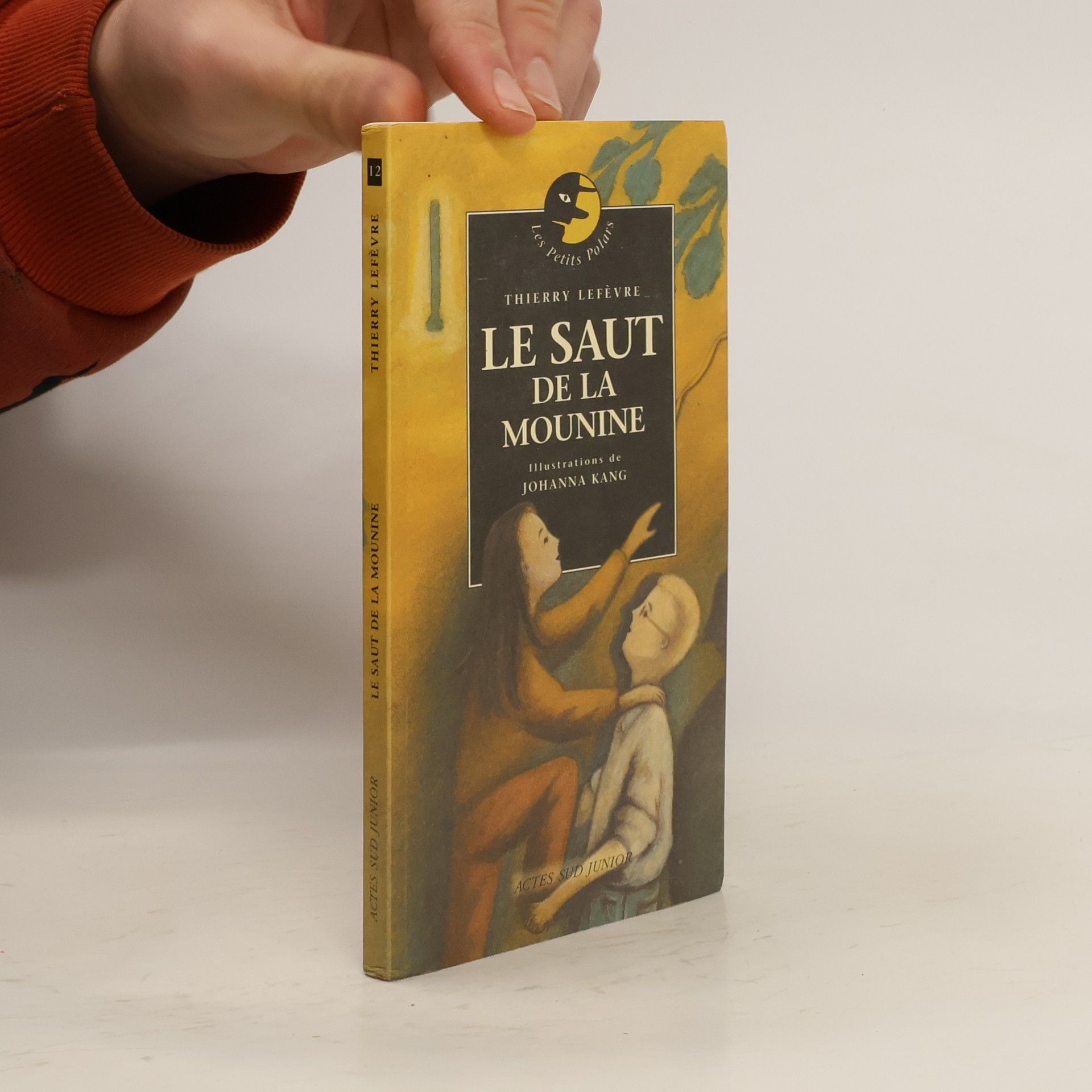 Thierry Lefèvre Le saut de la Mounine