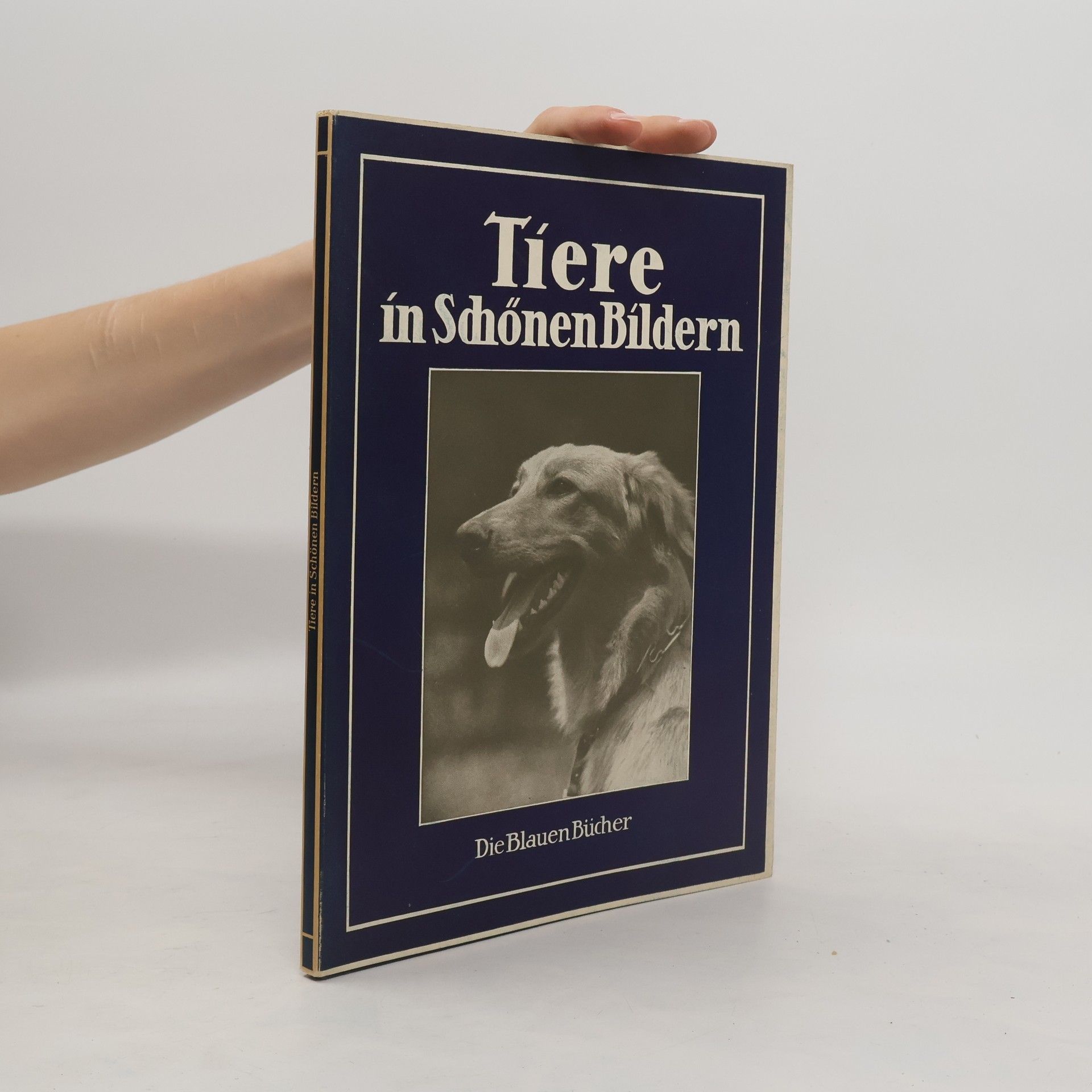 Collectif d'auteurs Tiere in schönen Bildern