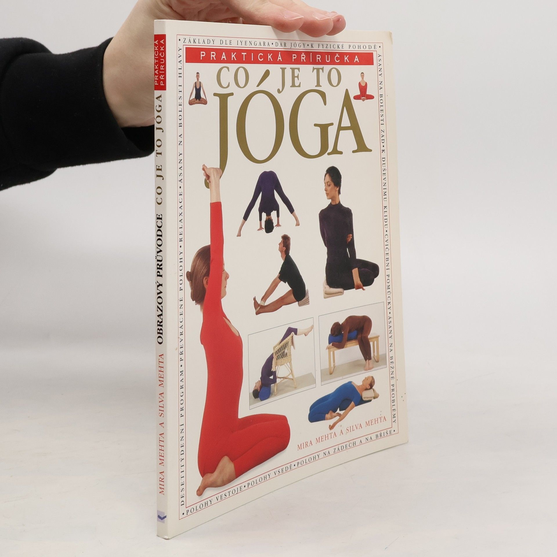 Co je to jóga. Praktická příručka