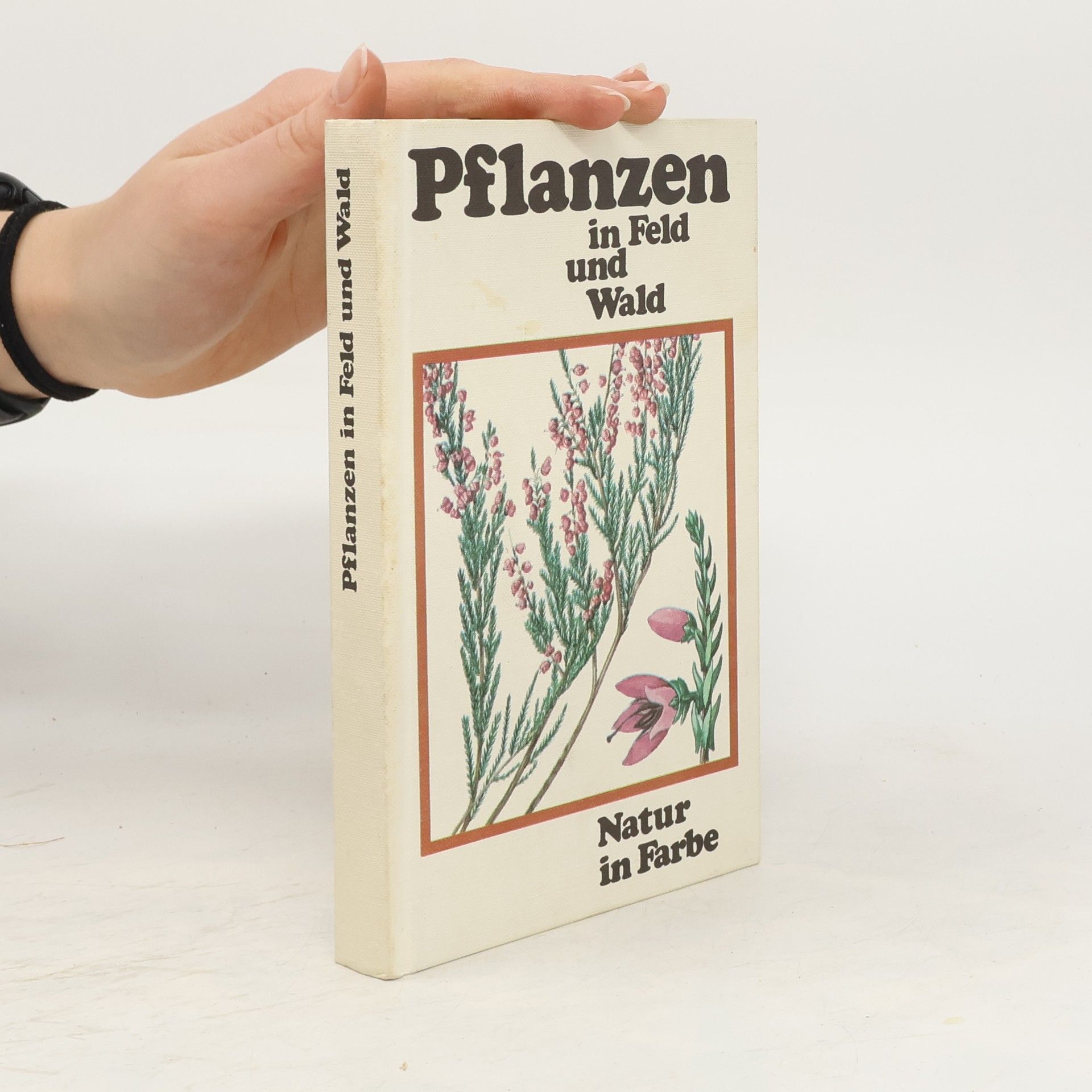 Pflanzen in Feld und Wald