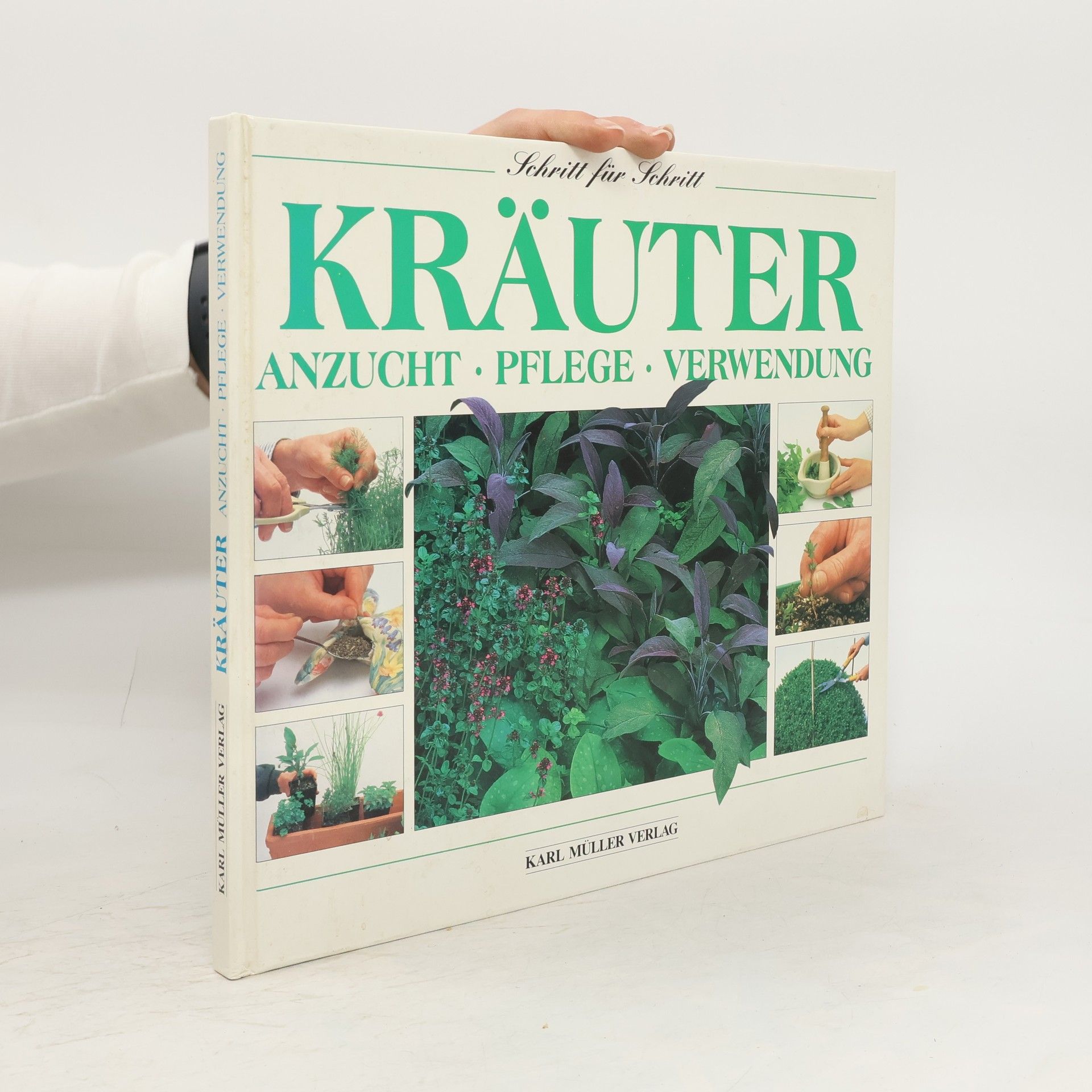 Kräuter. Anzucht. Pflege. Verwendung