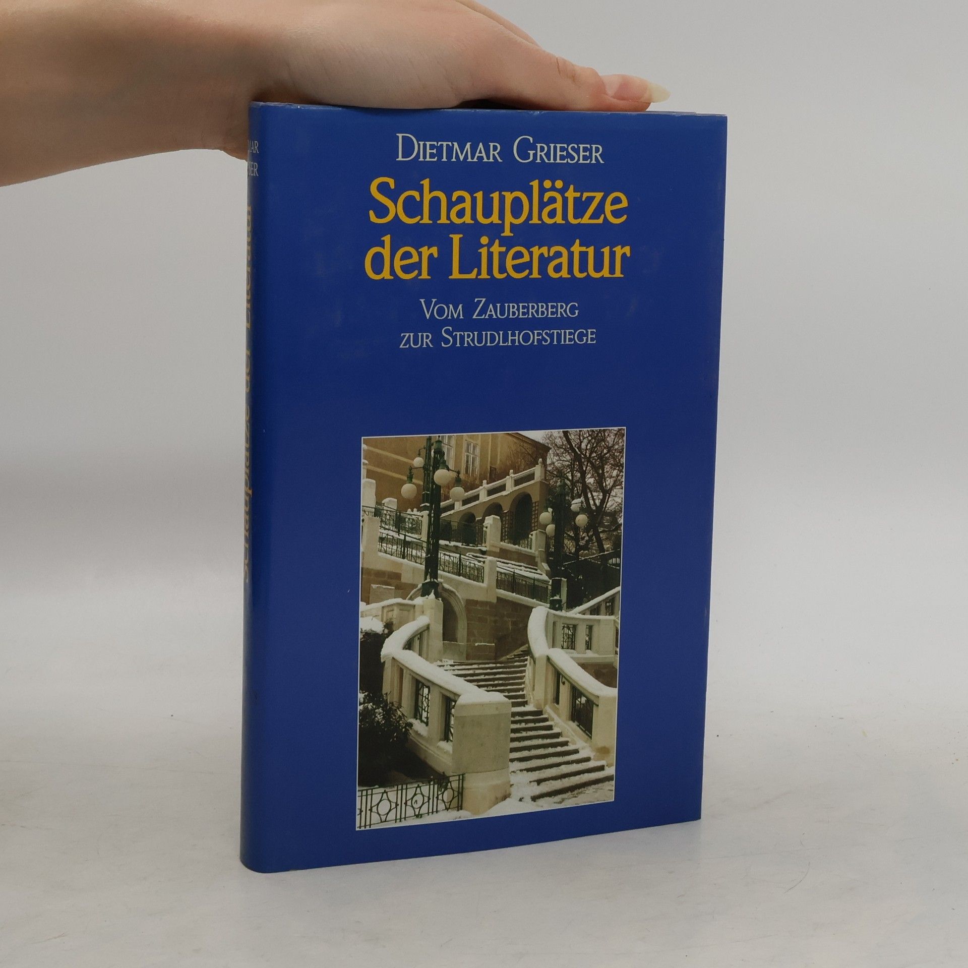 Dietmar Grieser Schauplätze der Literatur vom Zauberberg zur Strudlhofstiege