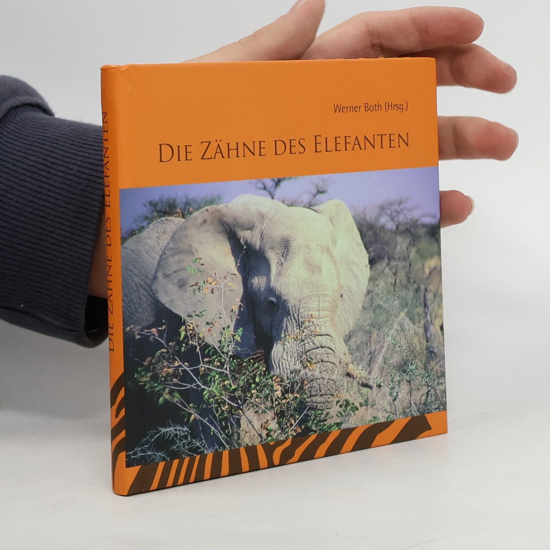 Werner Both Die Zähne des Elefanten