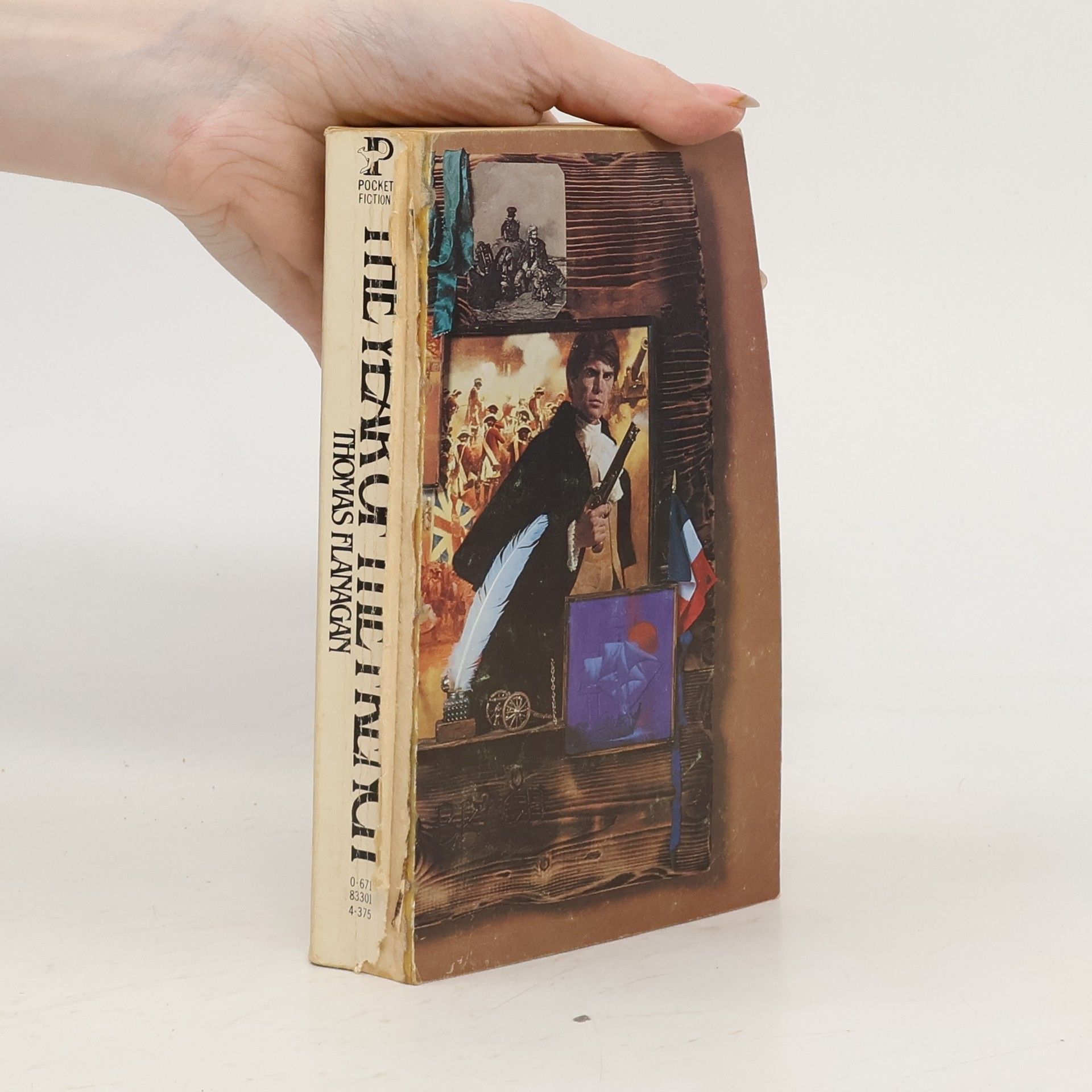 Thomas James Bonner Flanagan The Year of the French