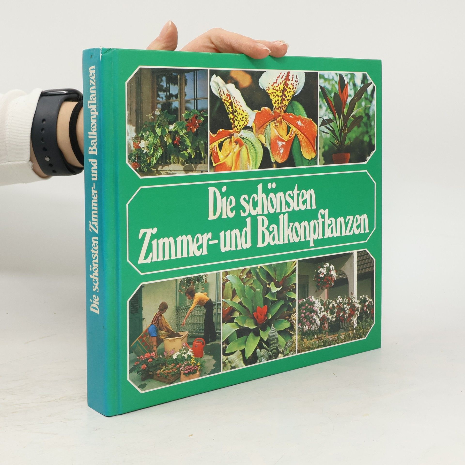 AA.VV. Die schönsten Zimmer-und Balkonpflanzen