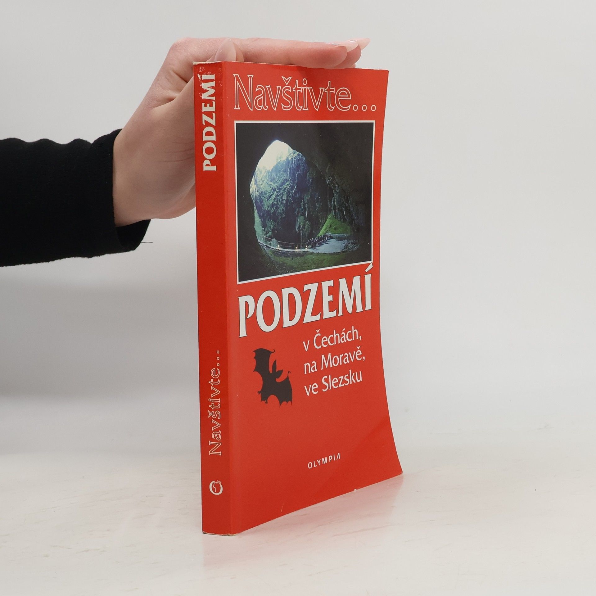 Podzemí v Čechách, na Moravě, ve Slezsku