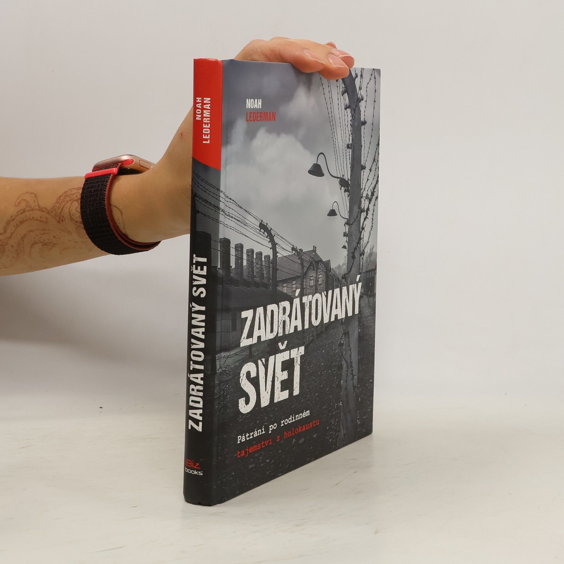 Noah Lederman Zadrátovaný svět