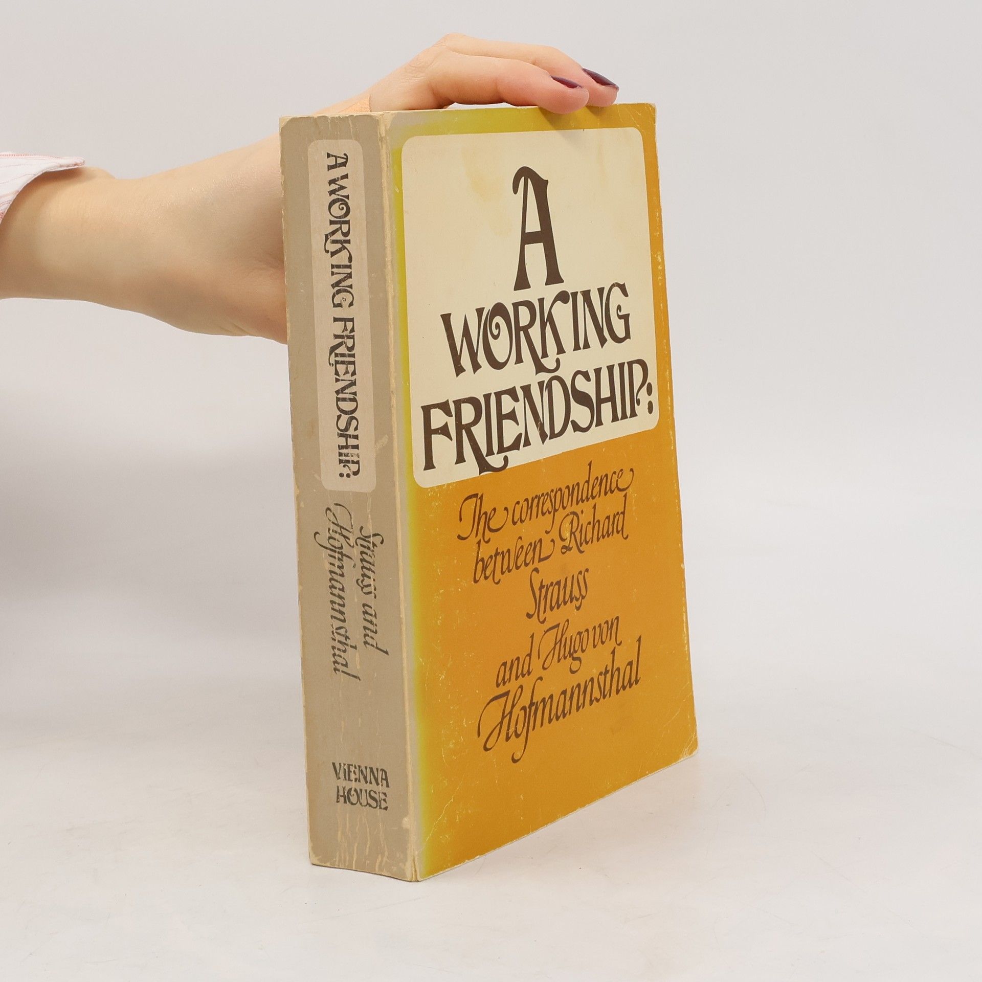 Kolektív autorov A Working Friendship