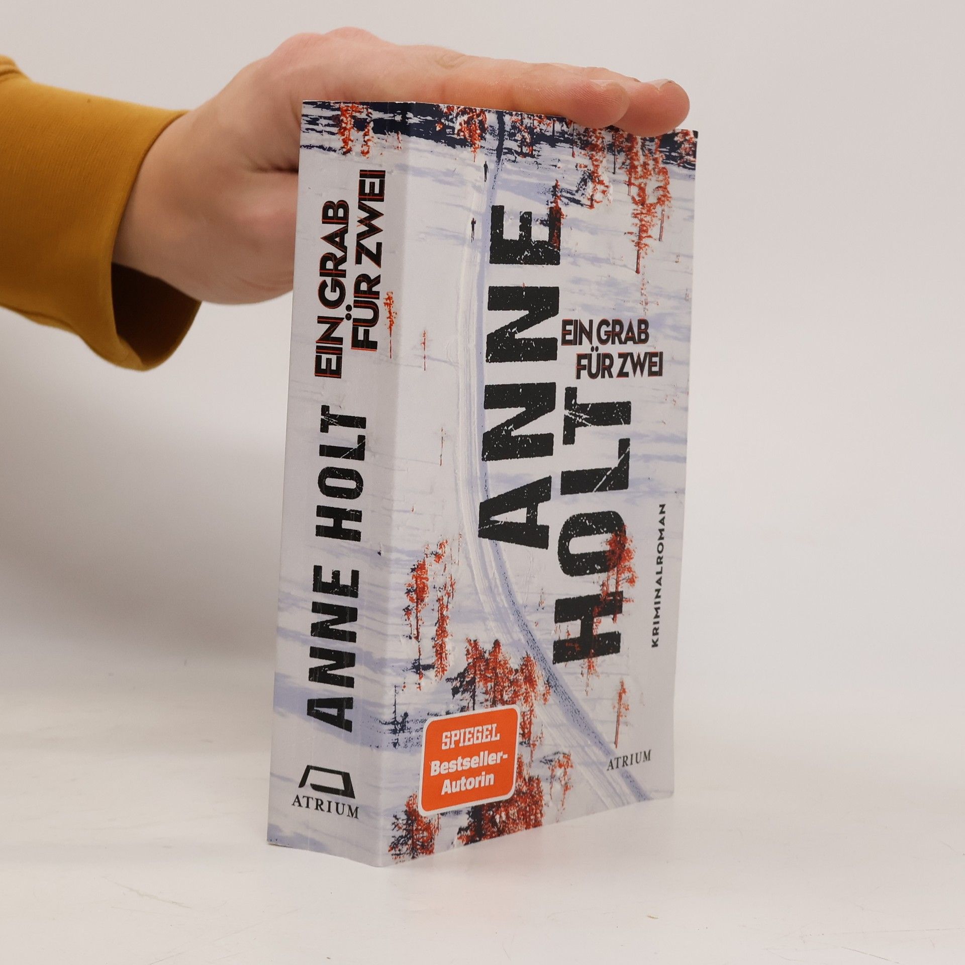 Anne Holt Ein Grab für zwei