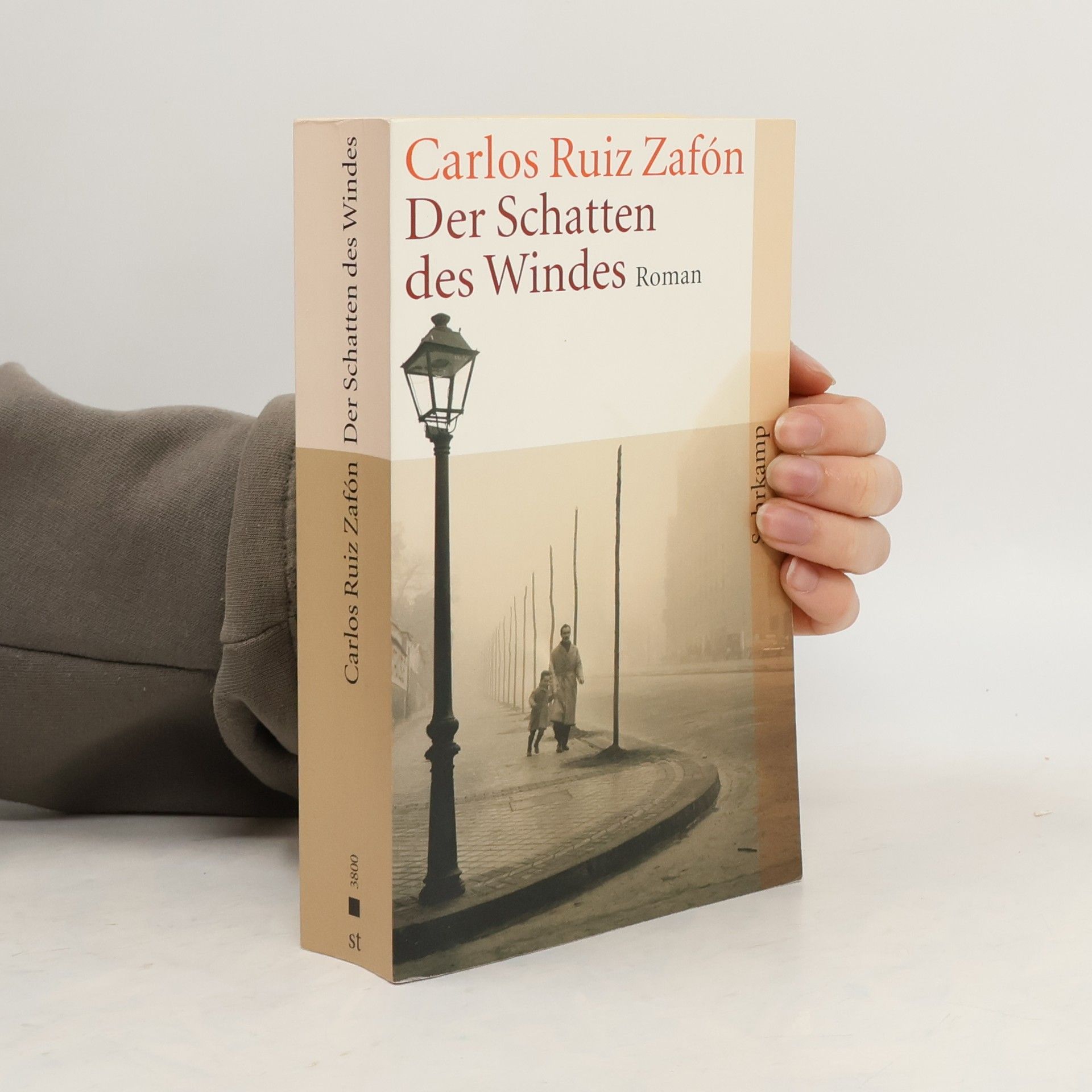 Carlos Ruiz Zafón Der Schatten des Windes