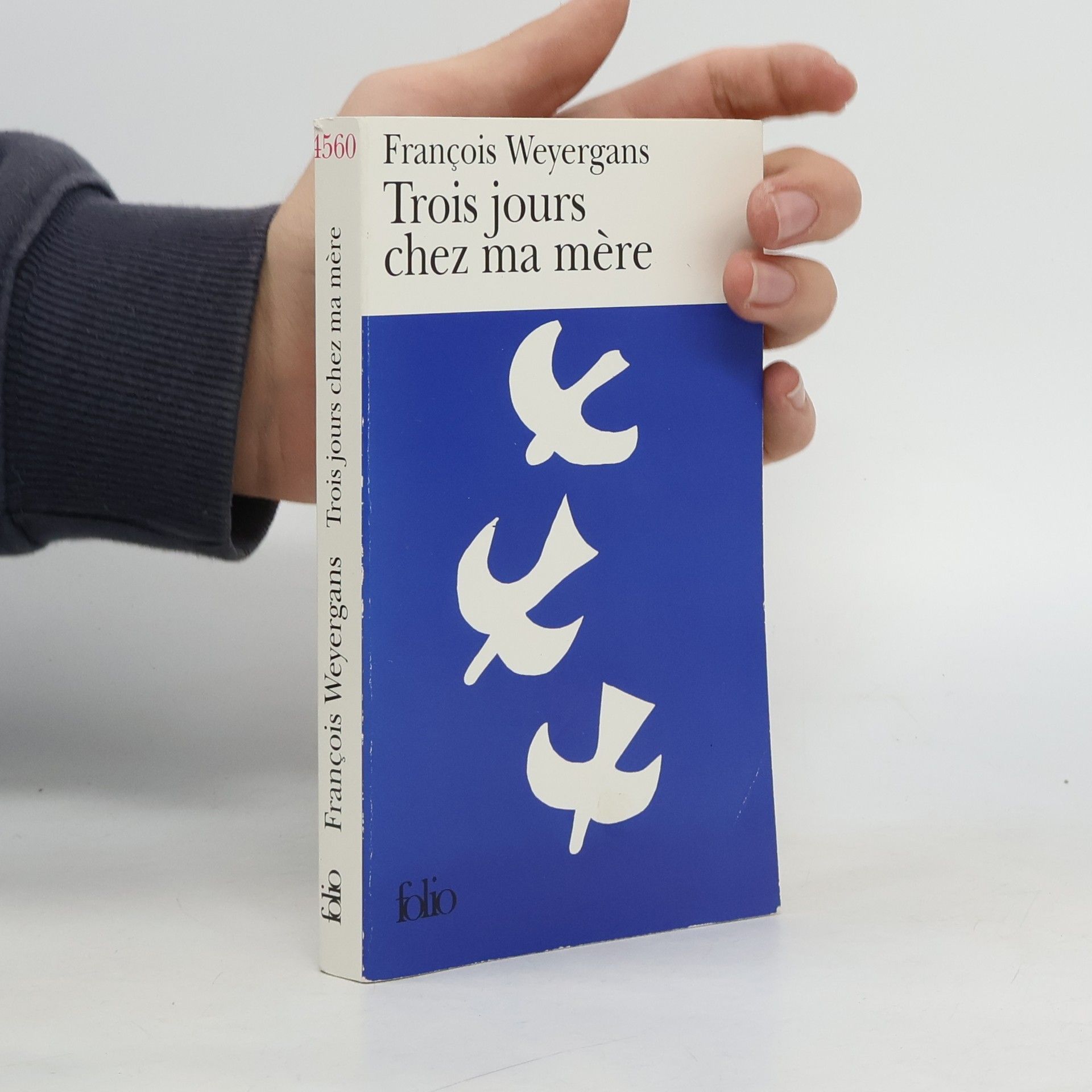 François Weyergans Trois jours chez ma mère