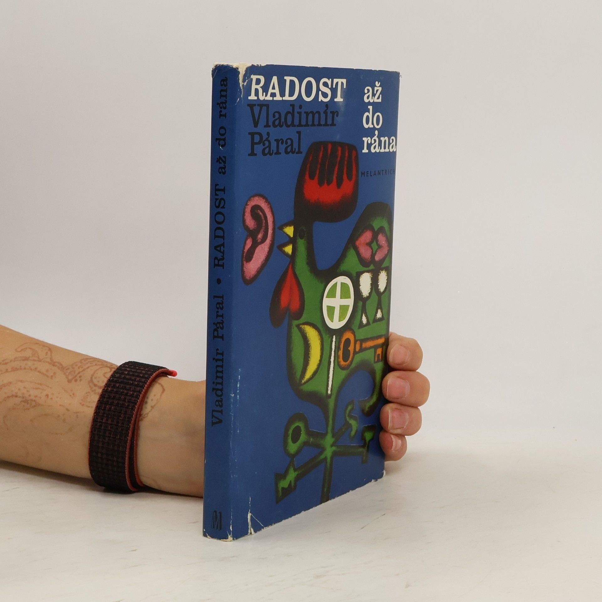 Vladimír Páral Radost až do rána