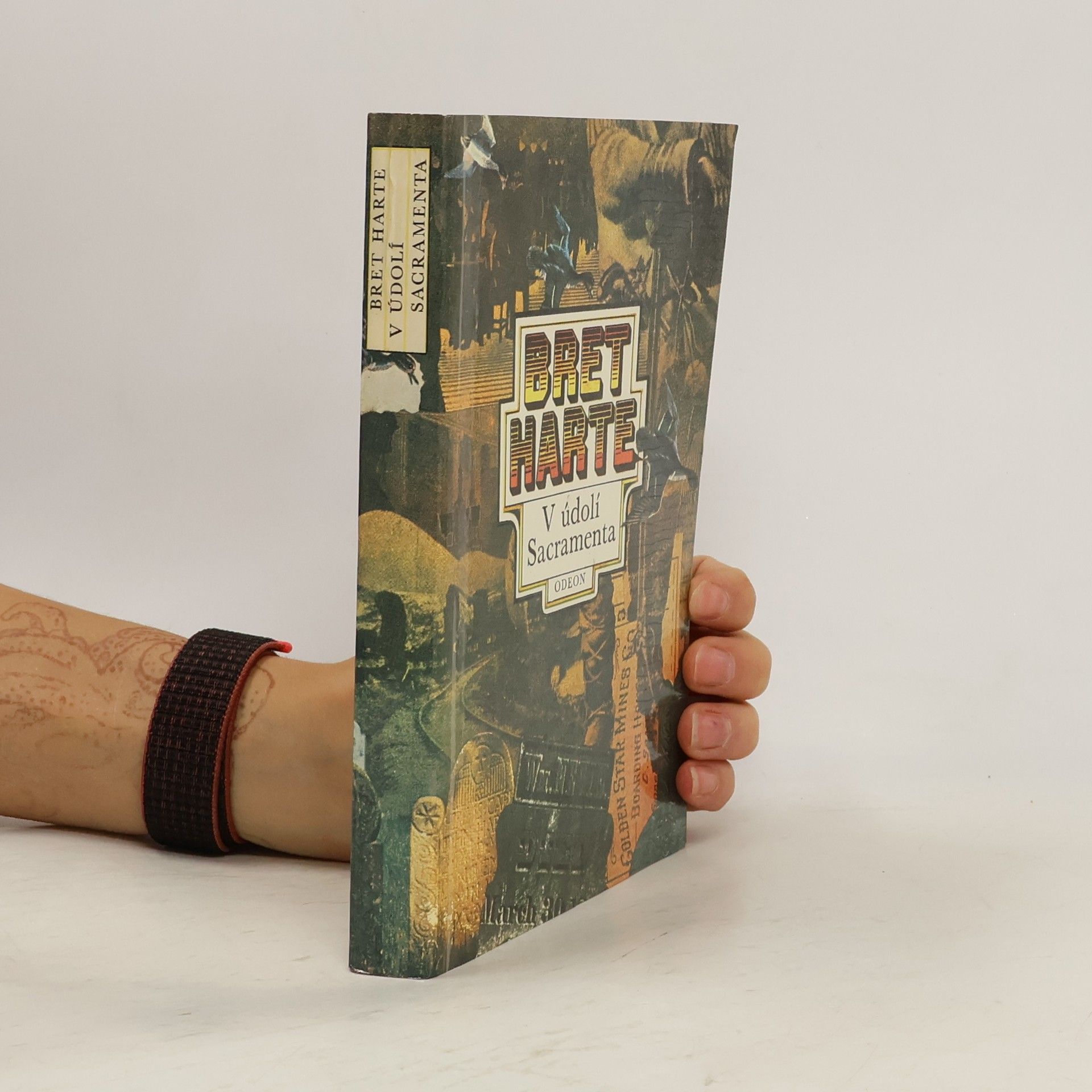 Francis Bret Harte V údolí Sacramenta