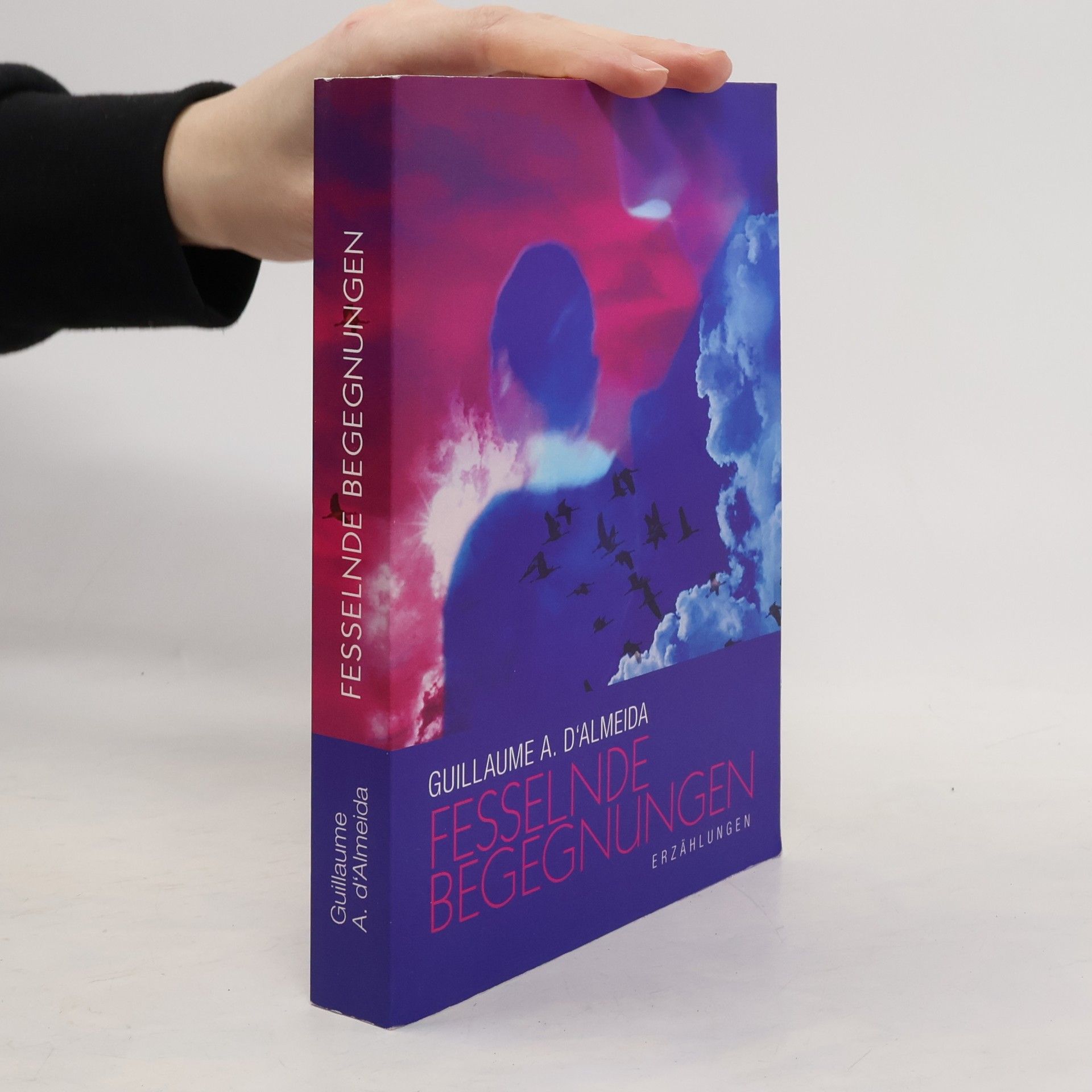 Guillaume A. D'Almeida Fesselnde Begegnungen
